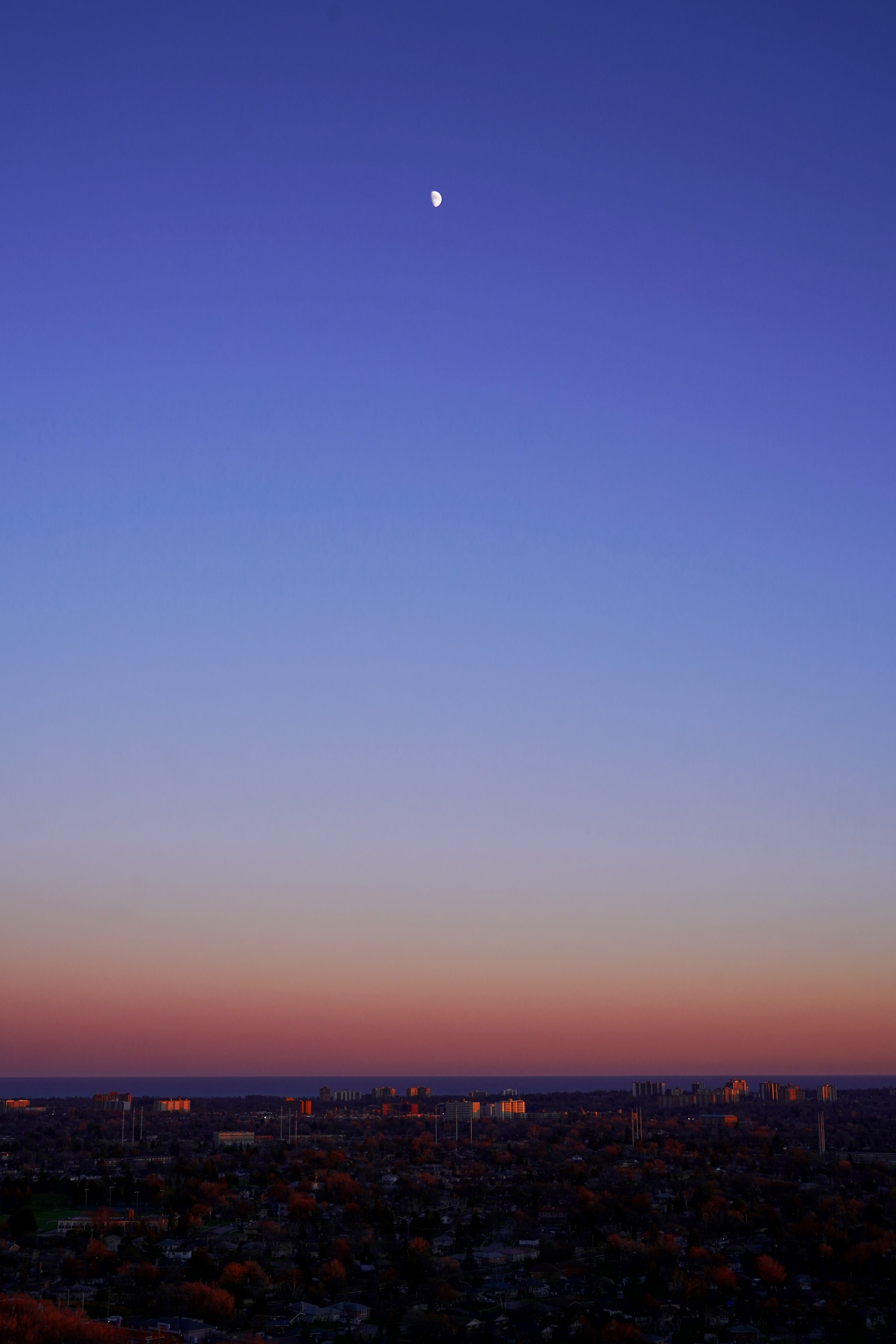 CFD Toronto 2021 11.png