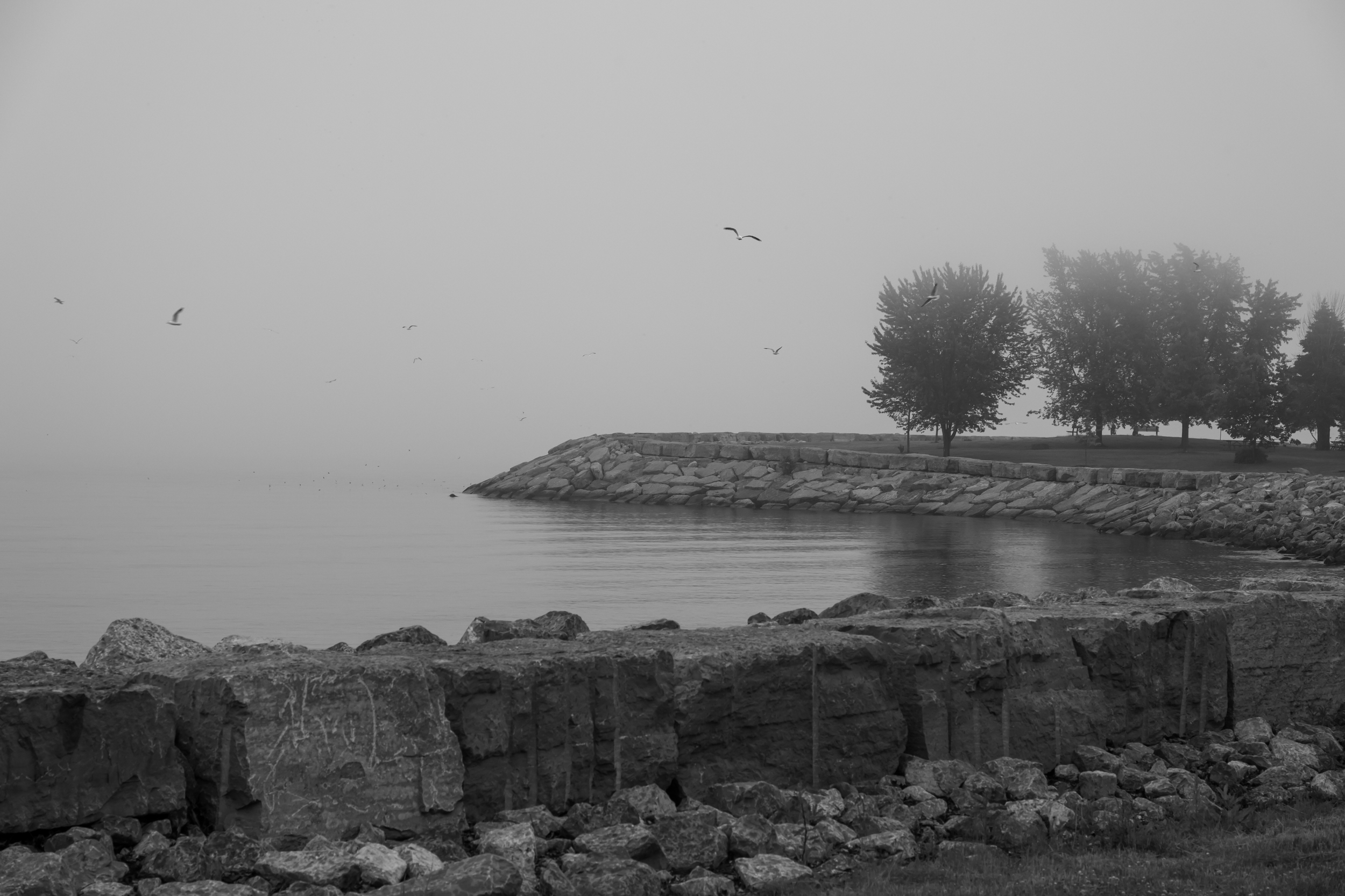 CFD Toronto 2025 53.png