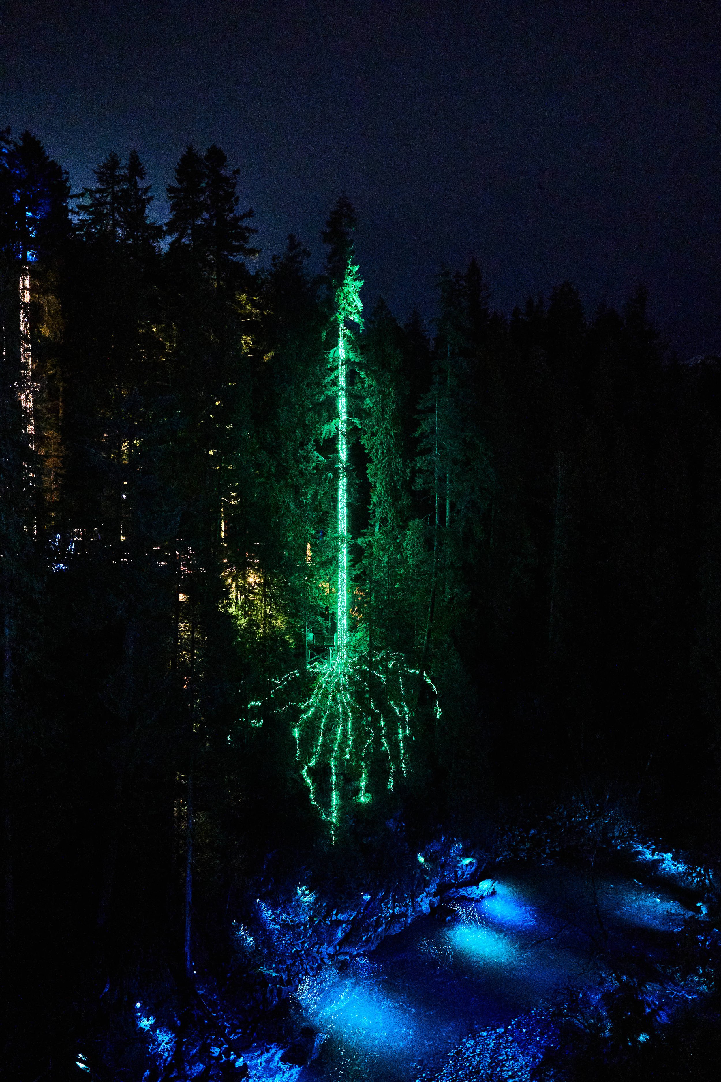 Capilano, Vancouver, 2025