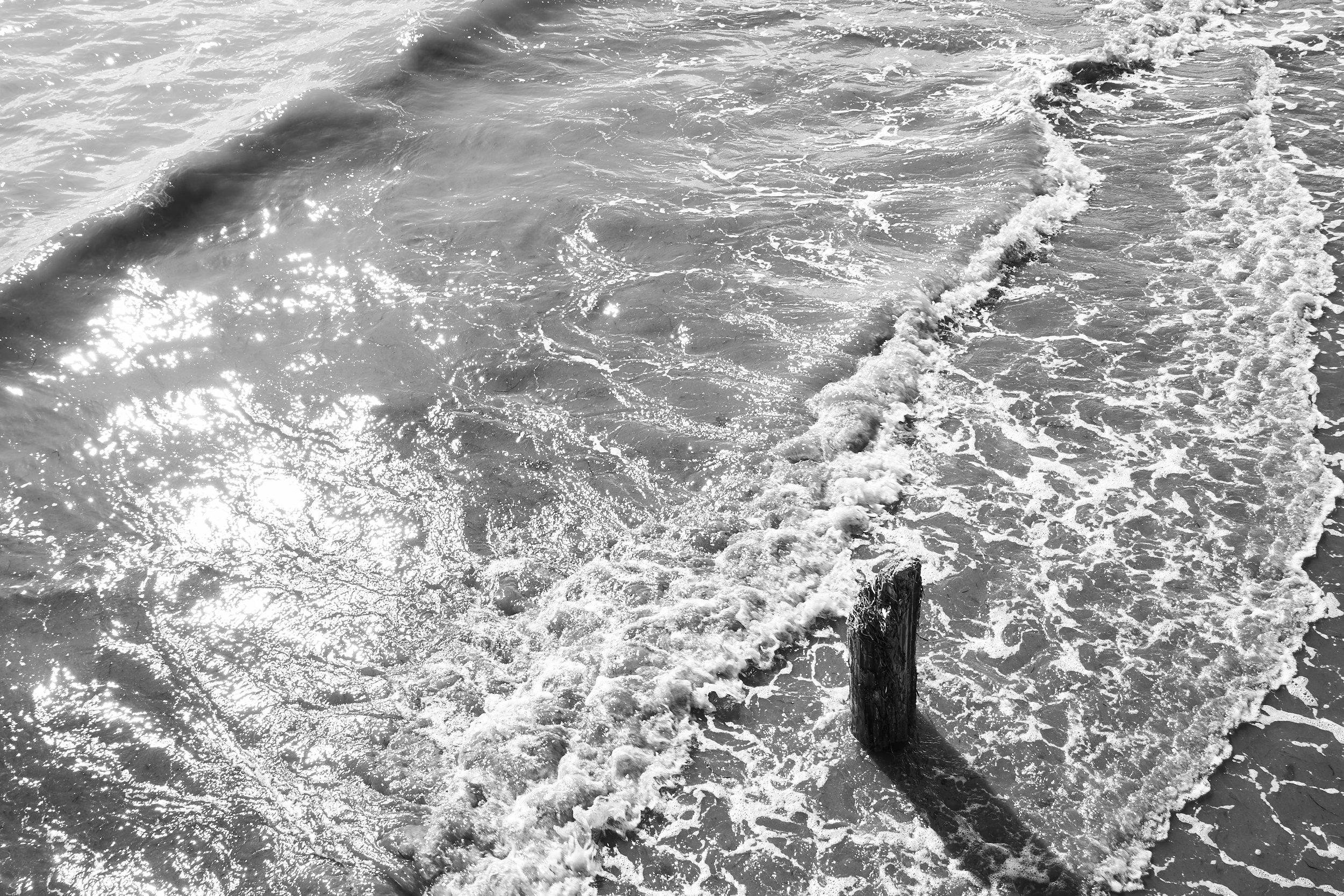 Vancouver 2024 16.png