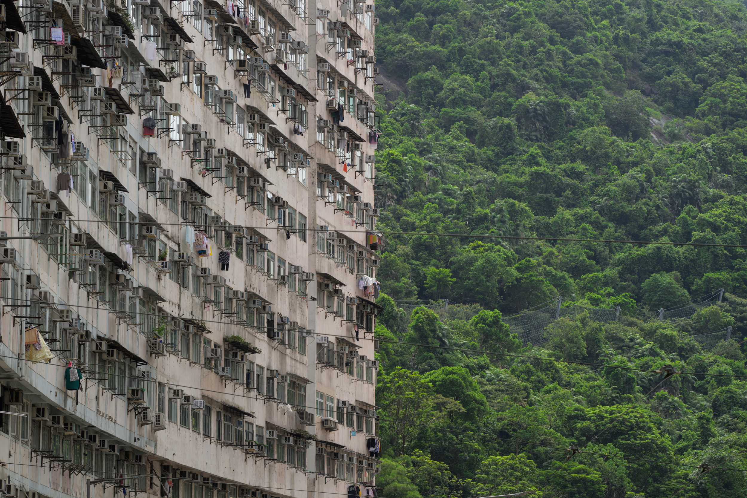 CFD Hong Kong 2024 22.png