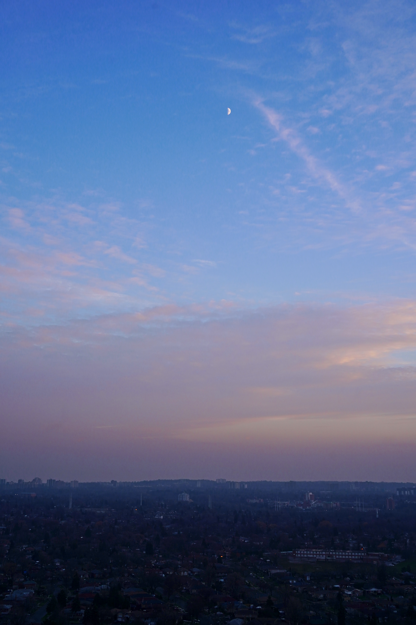 CFD Toronto 2021 3.png