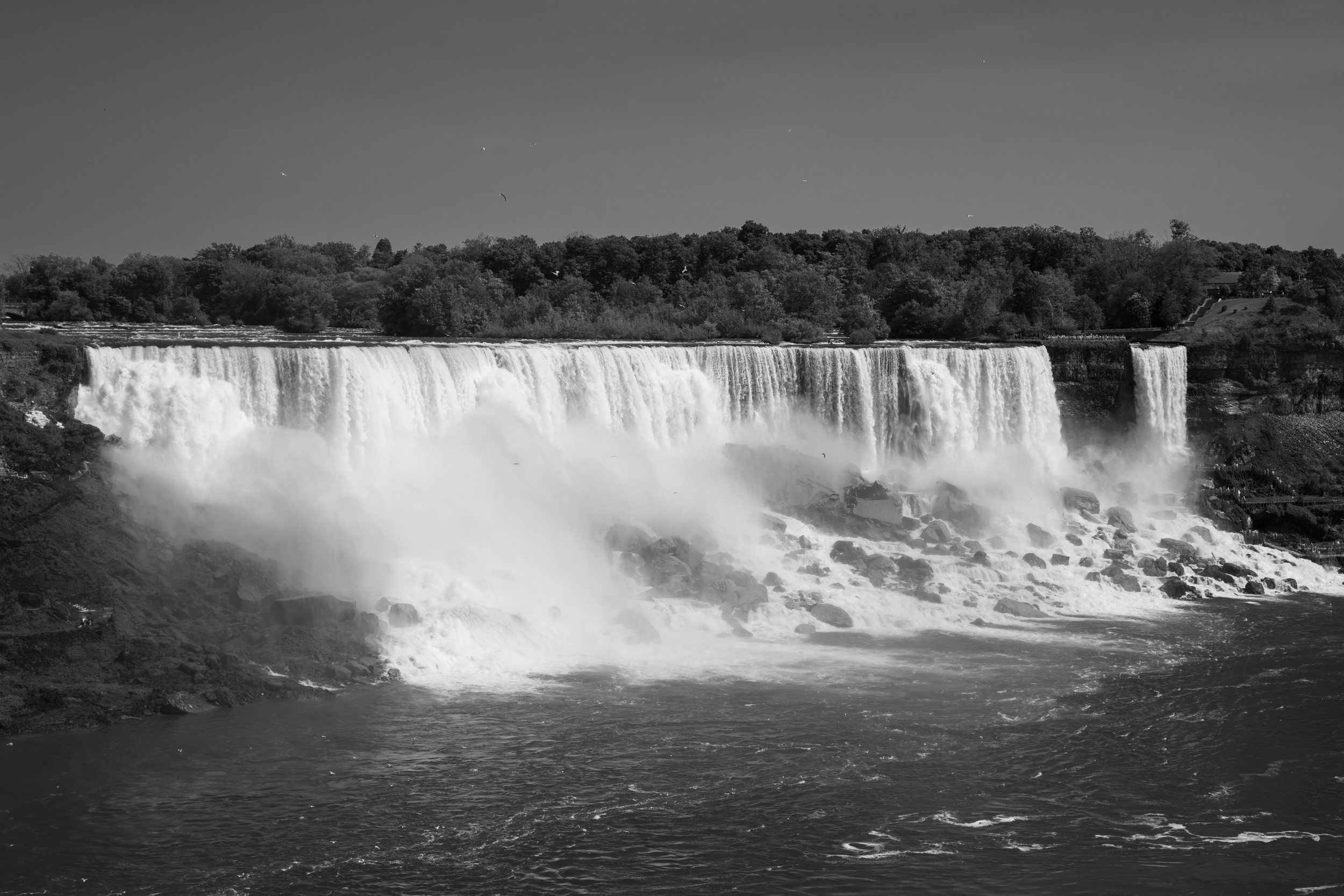 CFD Toronto 2025 24.png