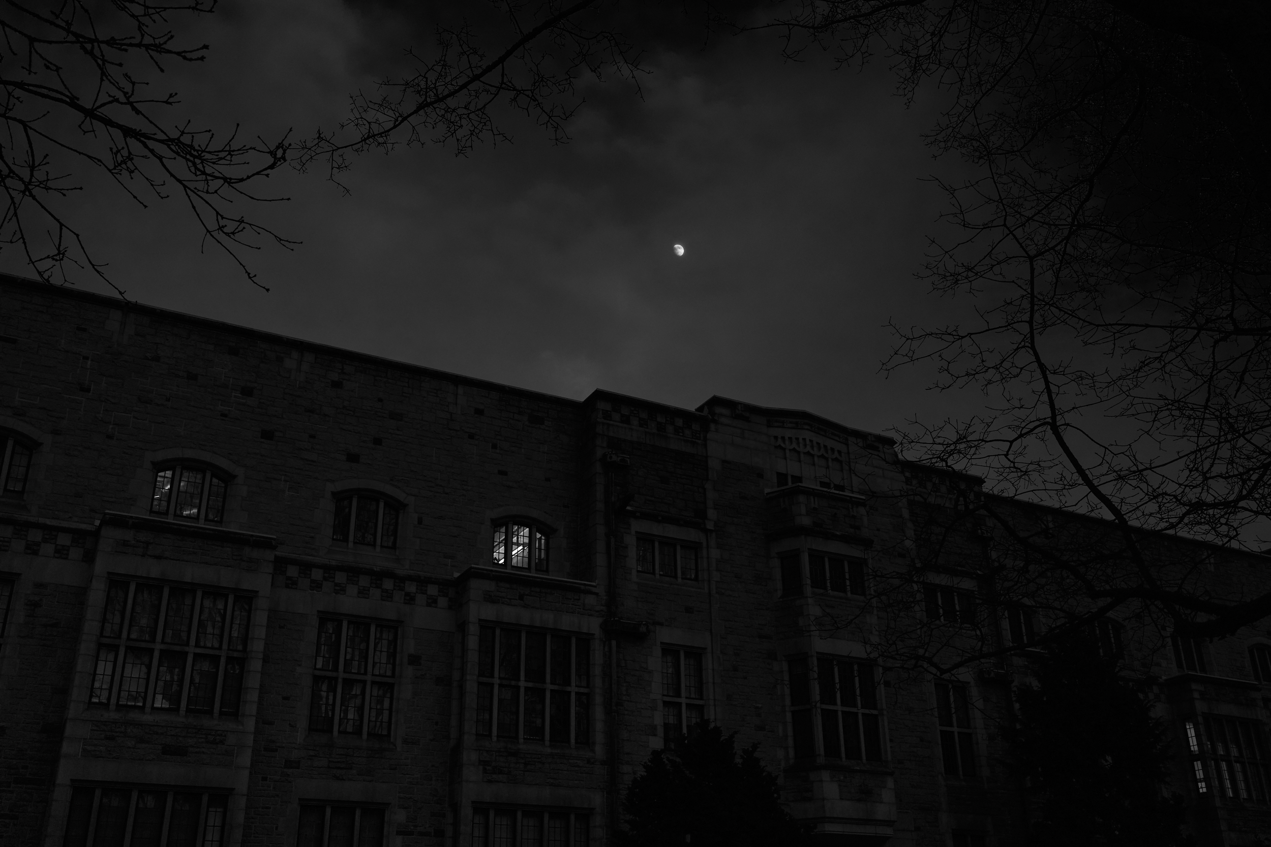 CFD Vancouver 2025 71 BW.png