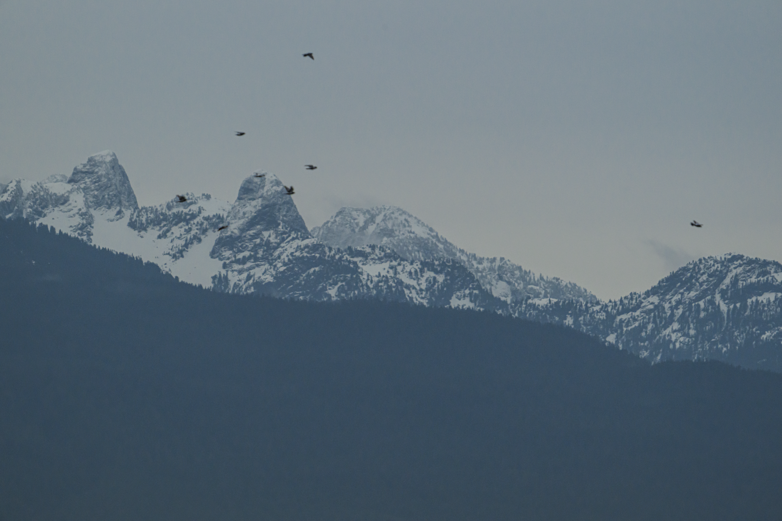 Vancouver 2024 64.png