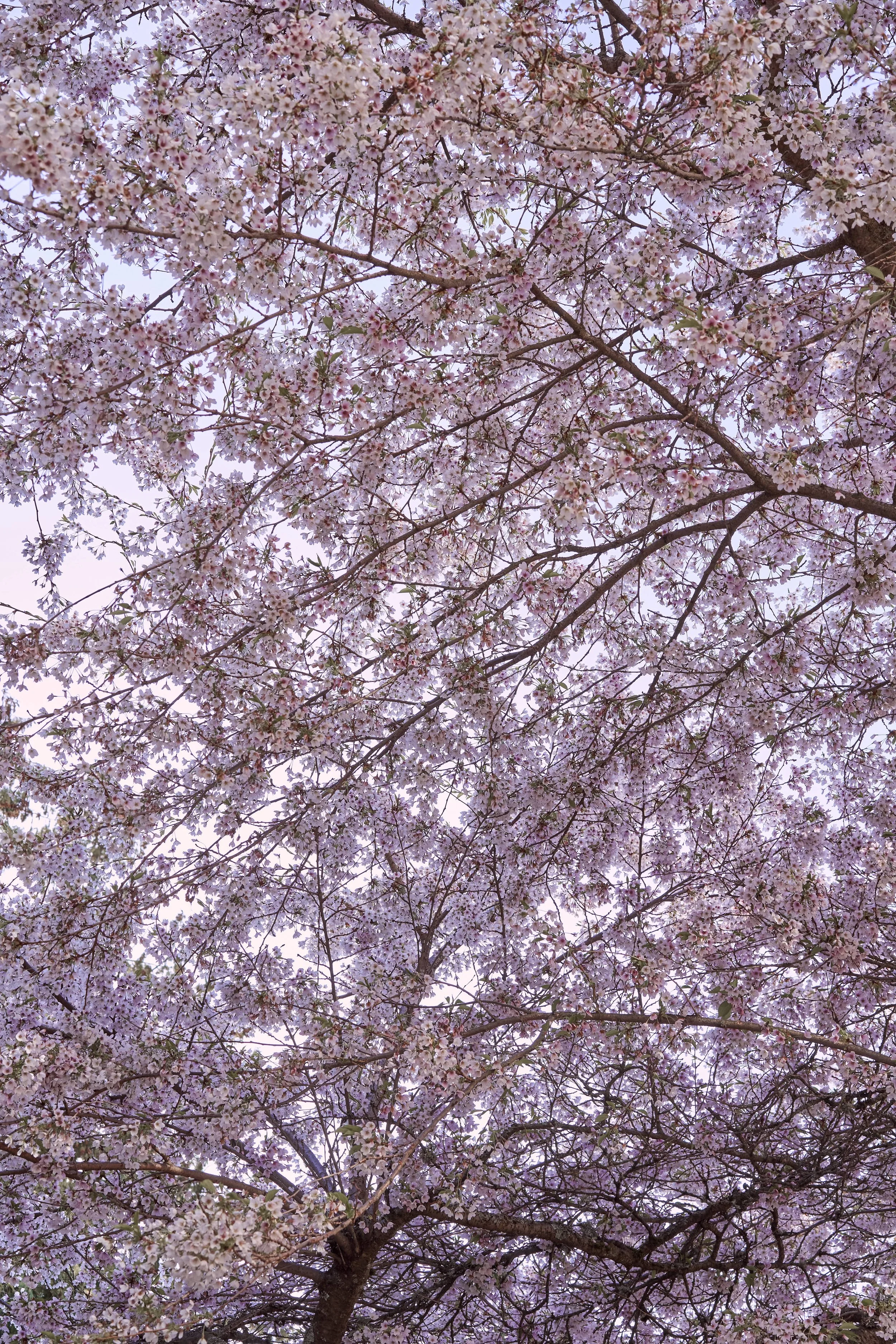 Vancouver 2023 1.jpg