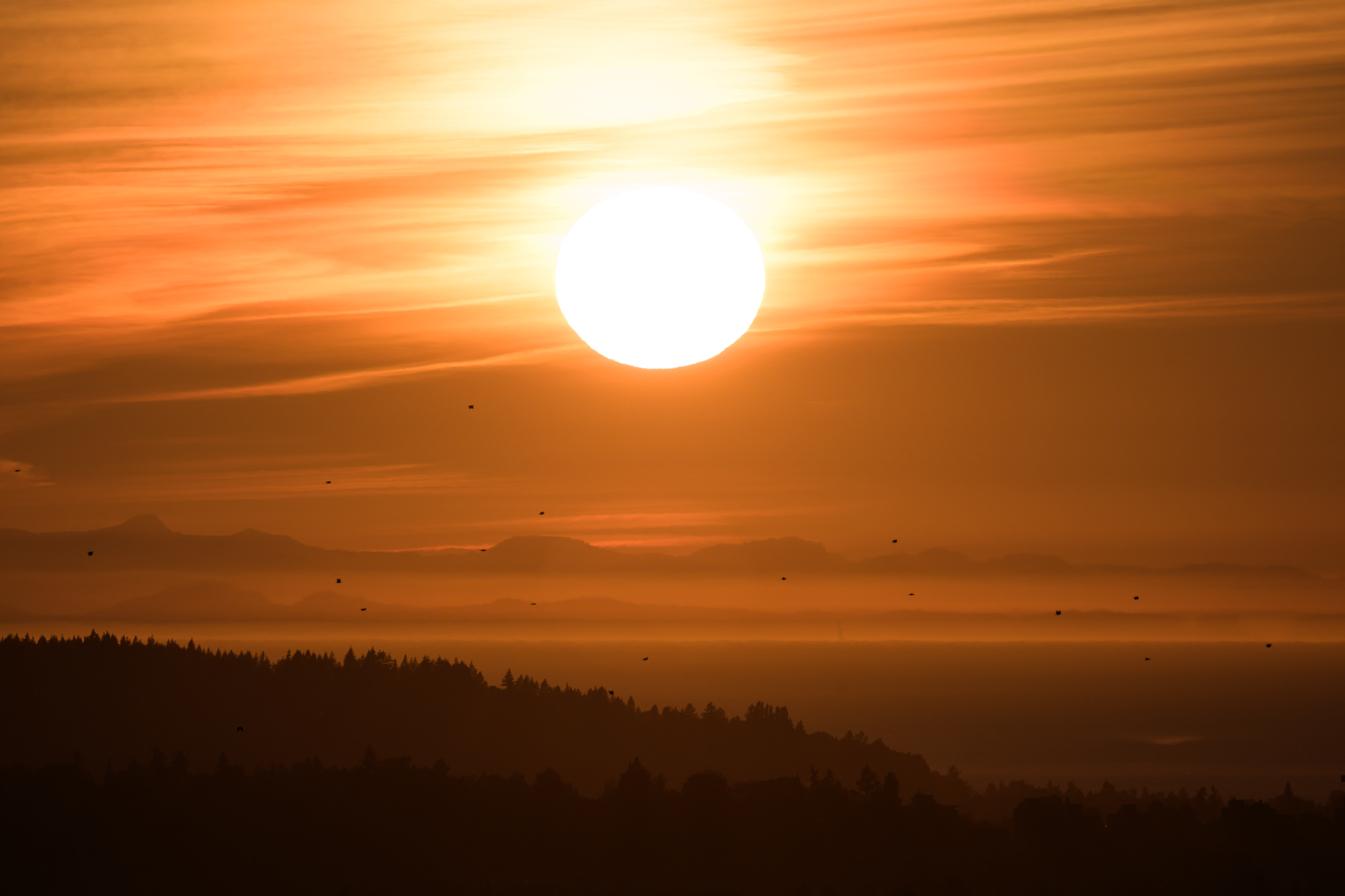 CFD Vancouver 2025 39.png