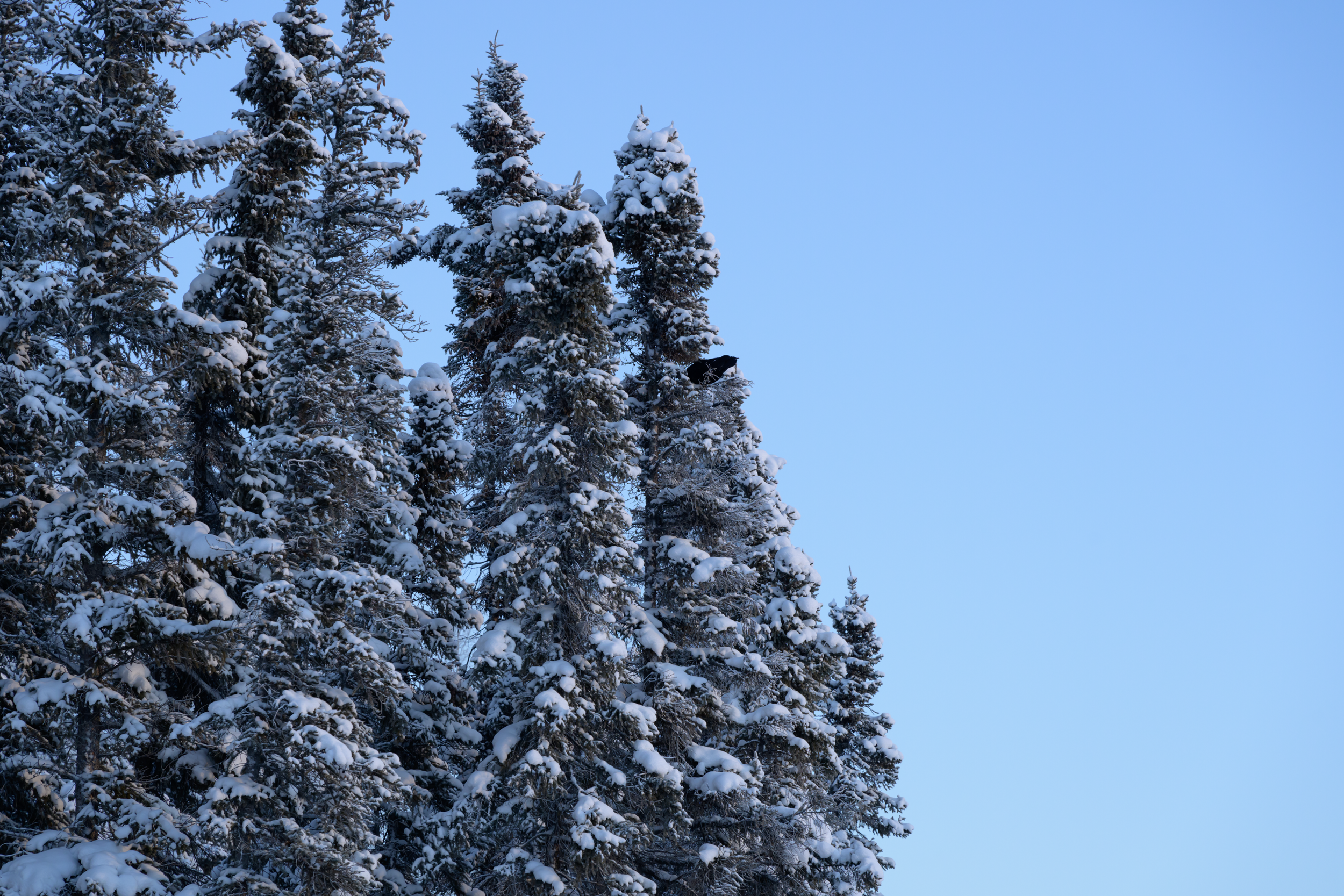 Yellowknife, Northwest Territories, 2025