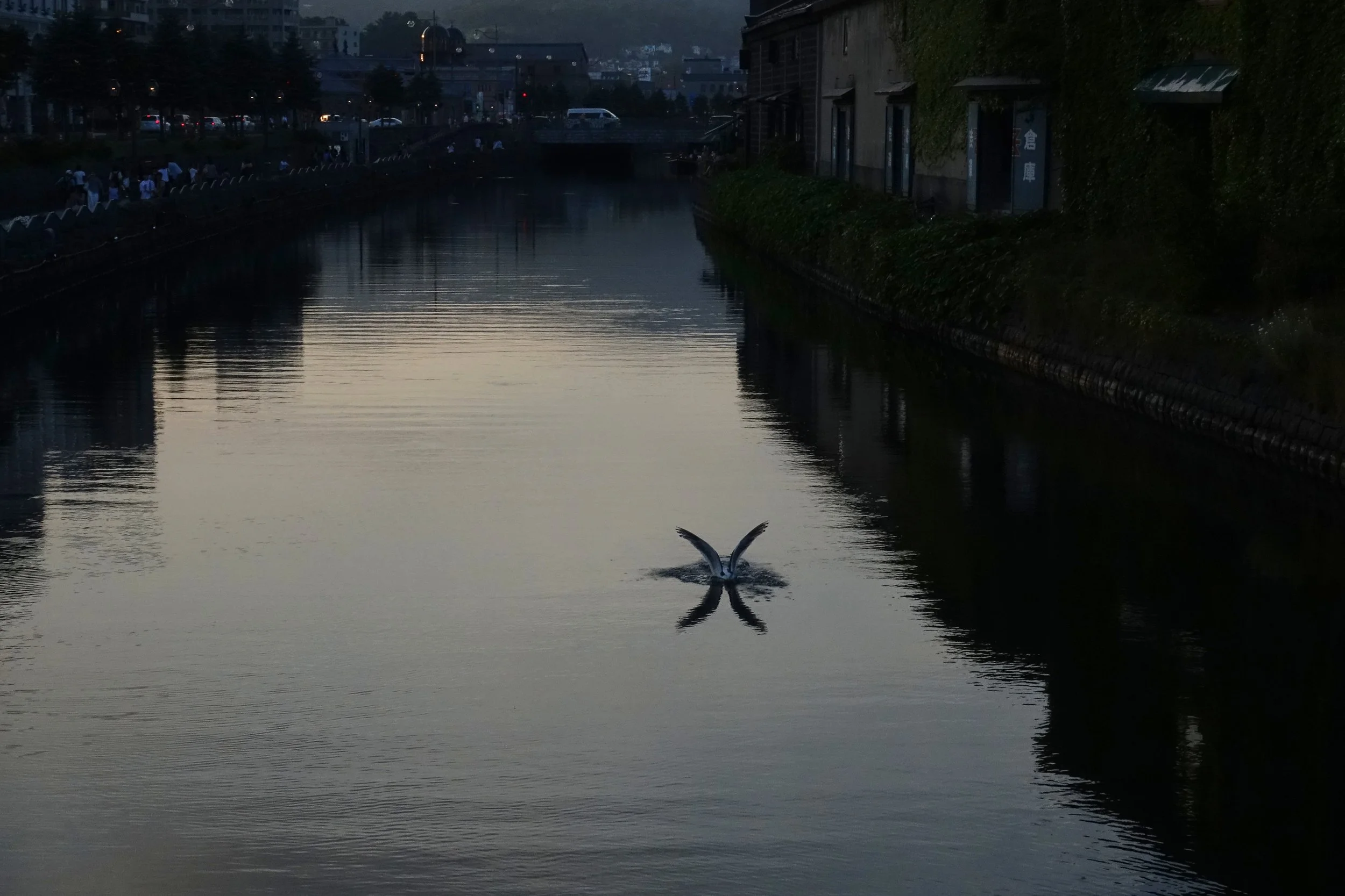 Otaru, Hokkaido, Japan, 2017