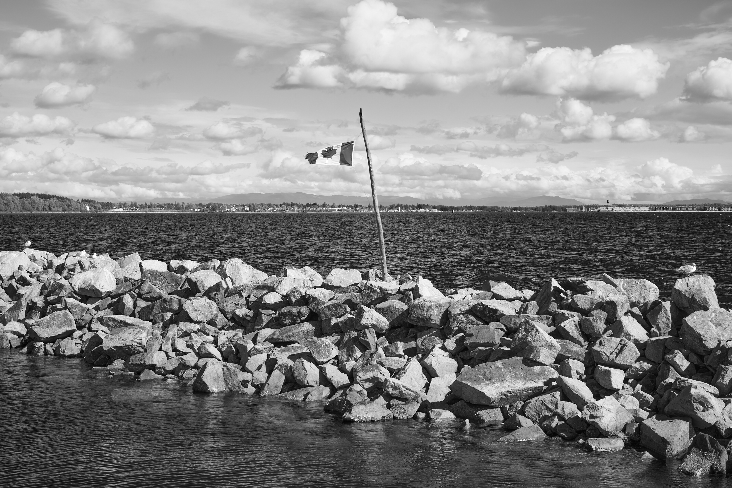 Vancouver 2024 17.png