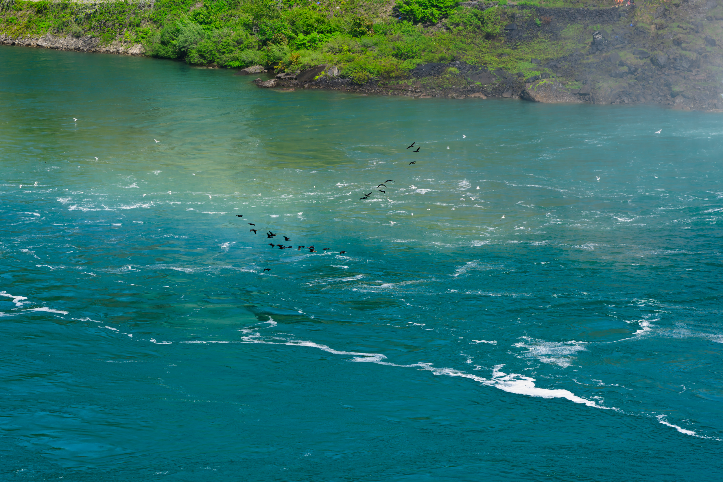 CFD Toronto 2025 28.png