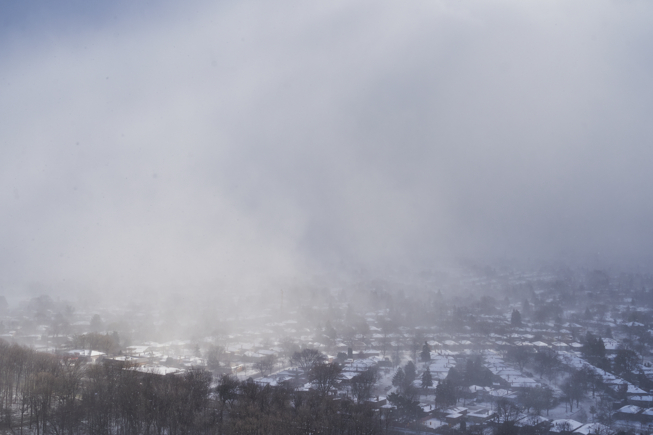 CFD Toronto 2022 14.png