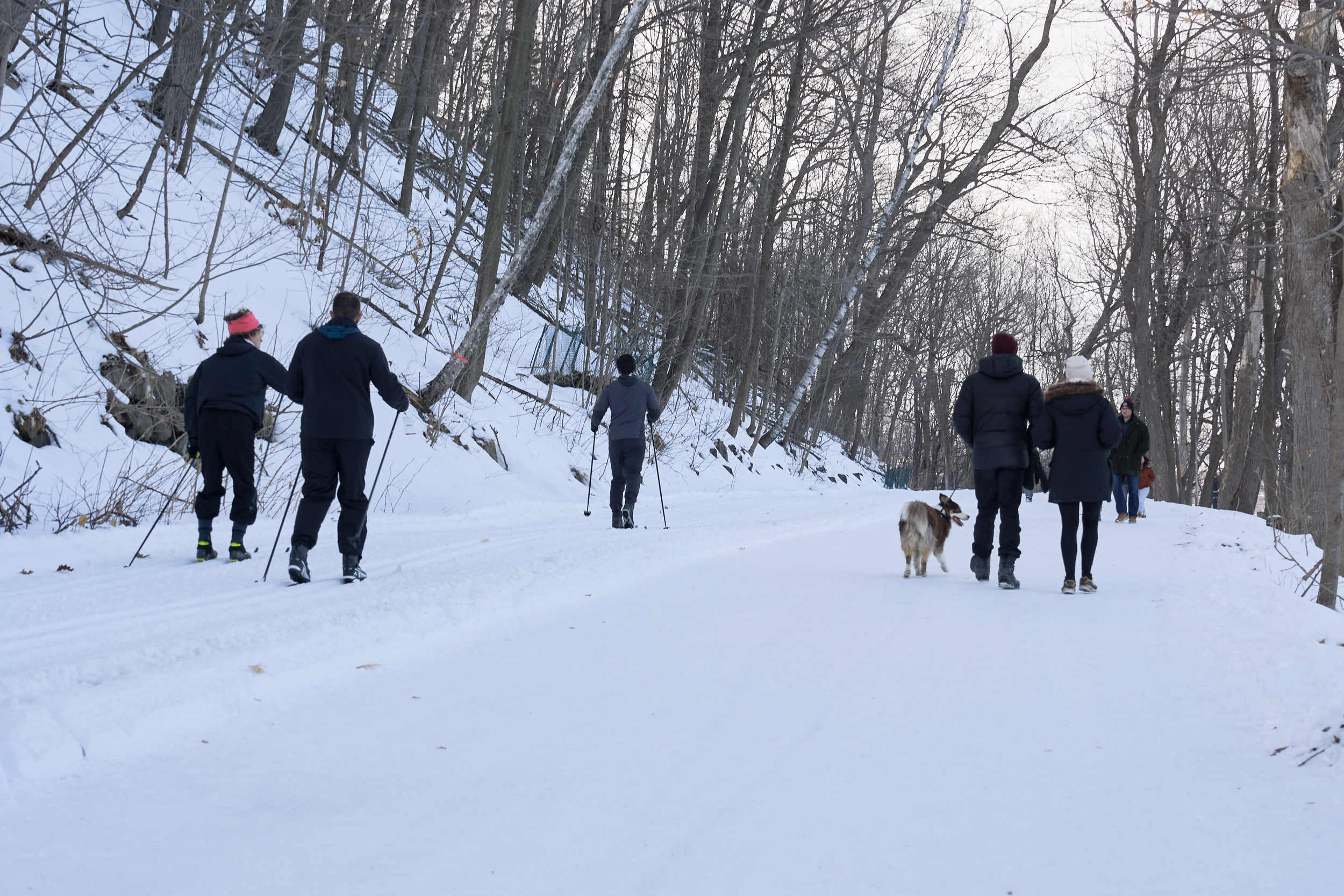 CFD Montréal 2024 13.png