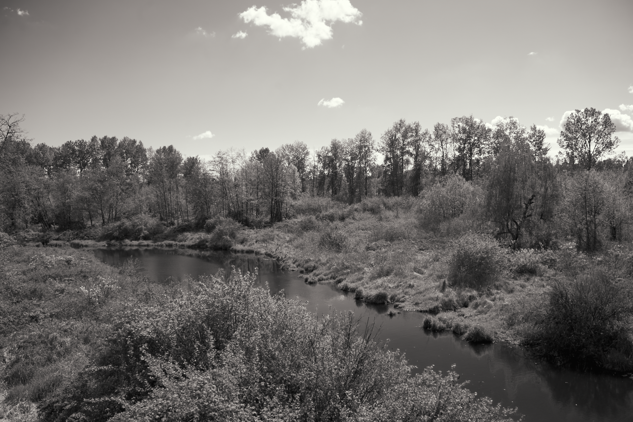 Vancouver 2024 8.png