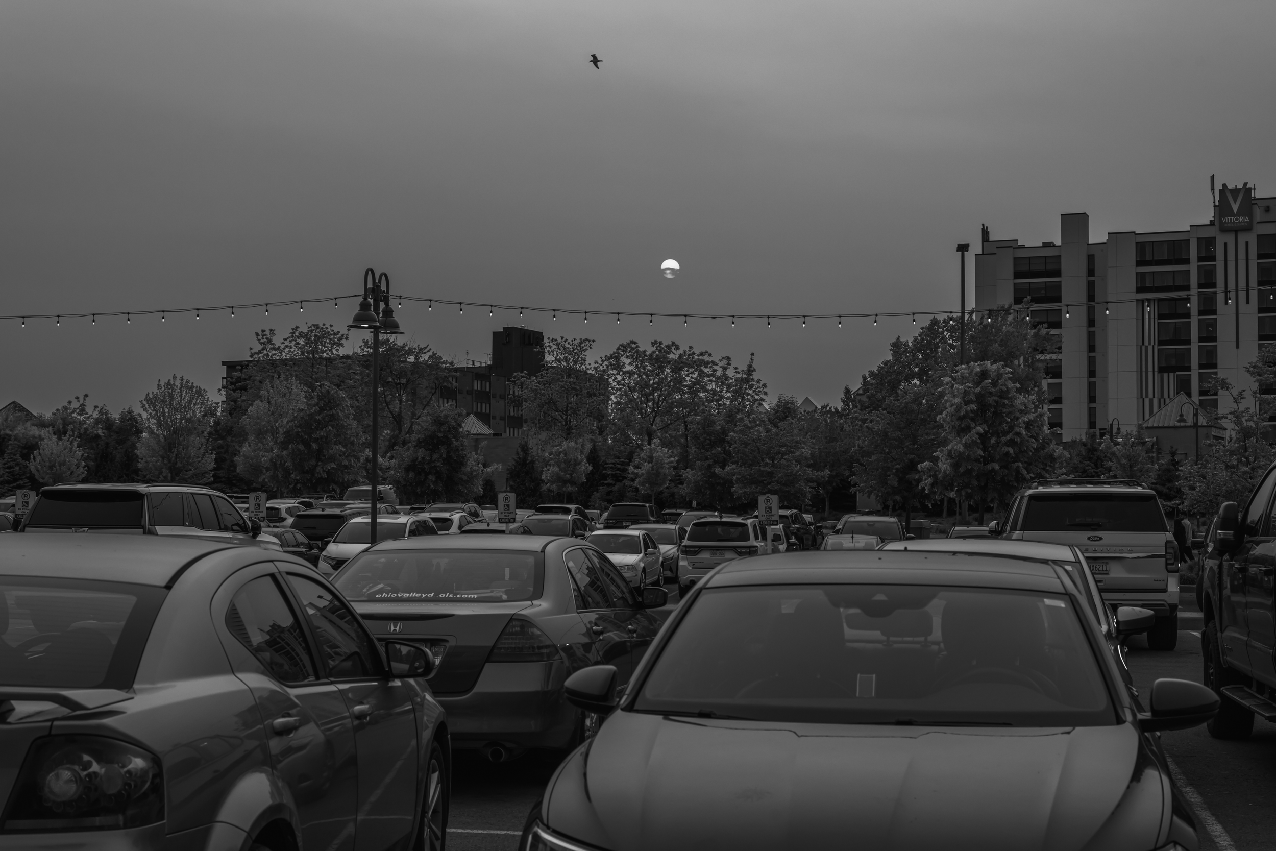 CFD Toronto 2025 34.png