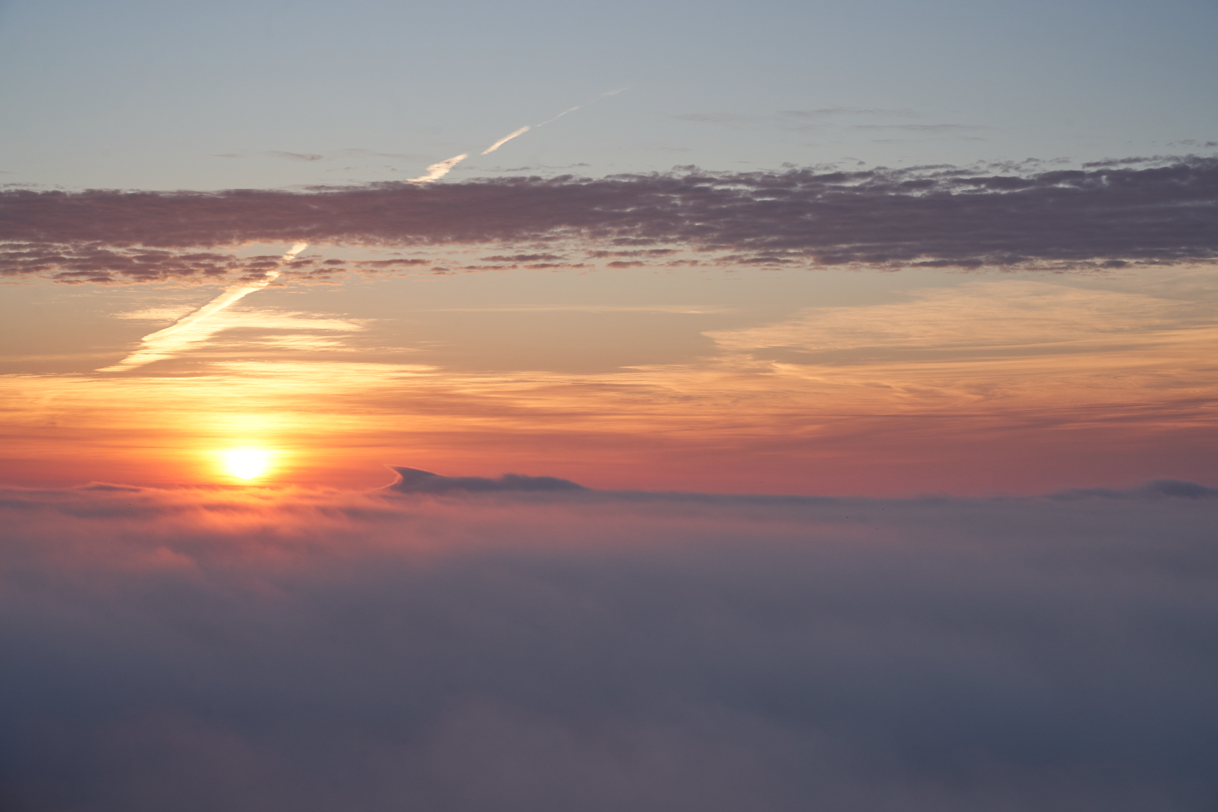 CFD Toronto 2022 11.png