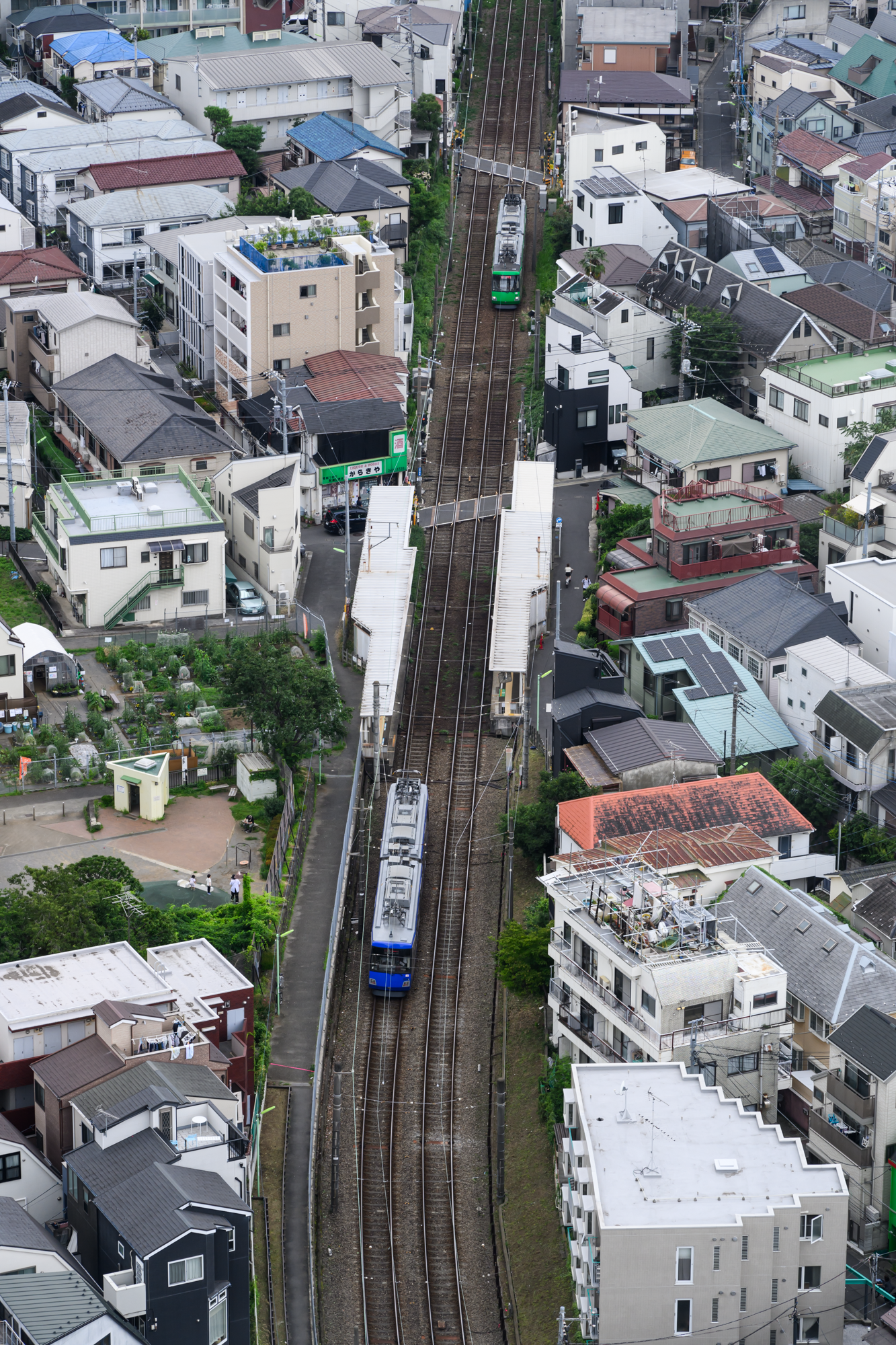 CFD Tokyo 2024 6.png