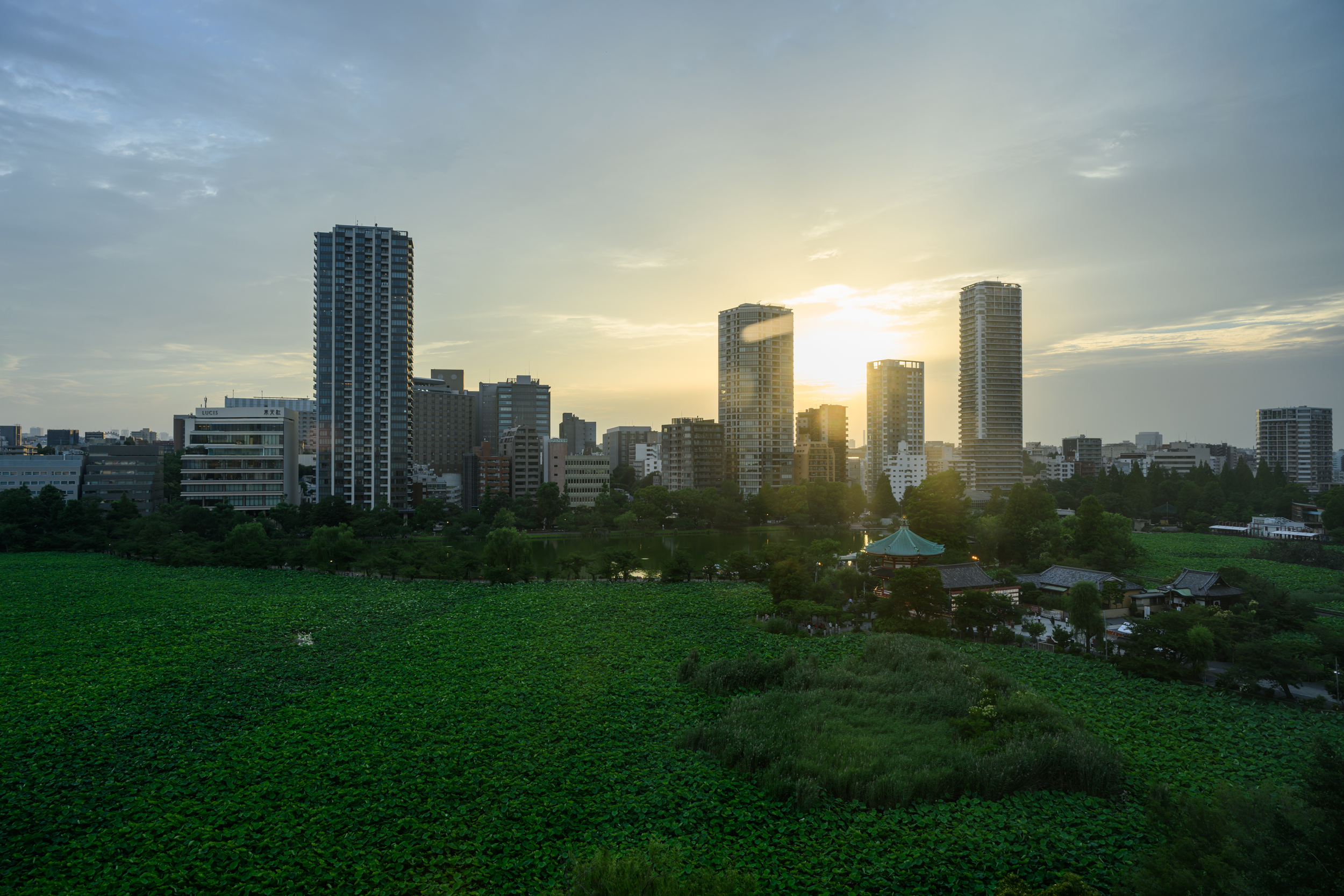 CFD Tokyo 2024 2.png