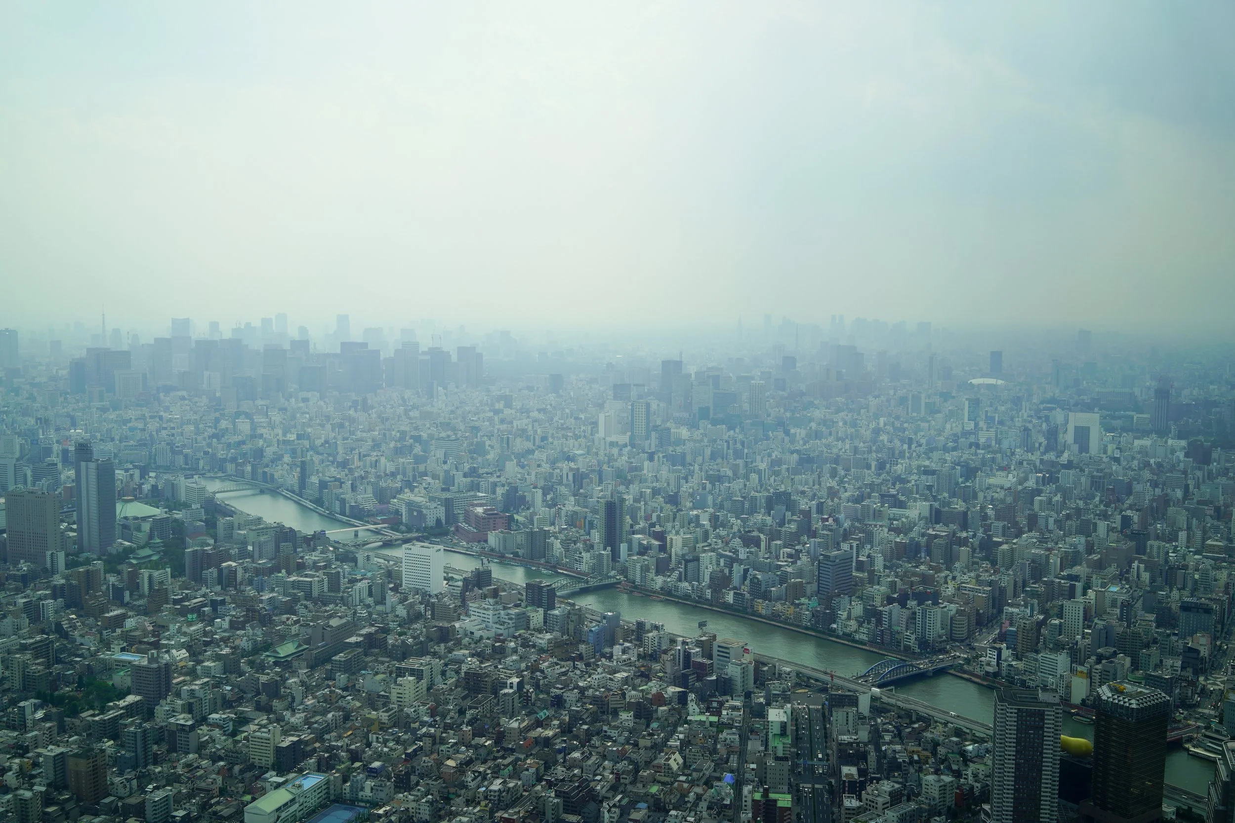 Tokyo, Japan, Summer, 2018