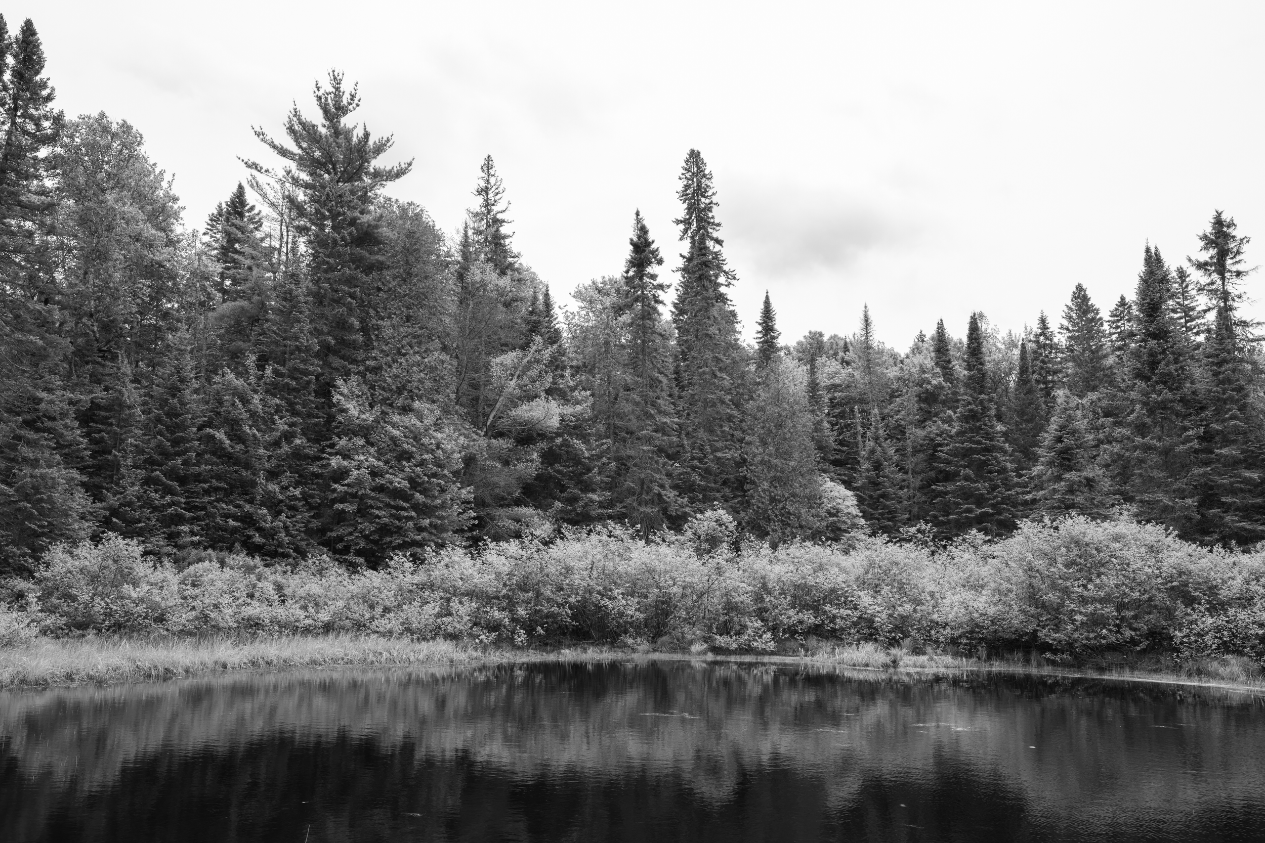 CFD Toronto 2025 59.png