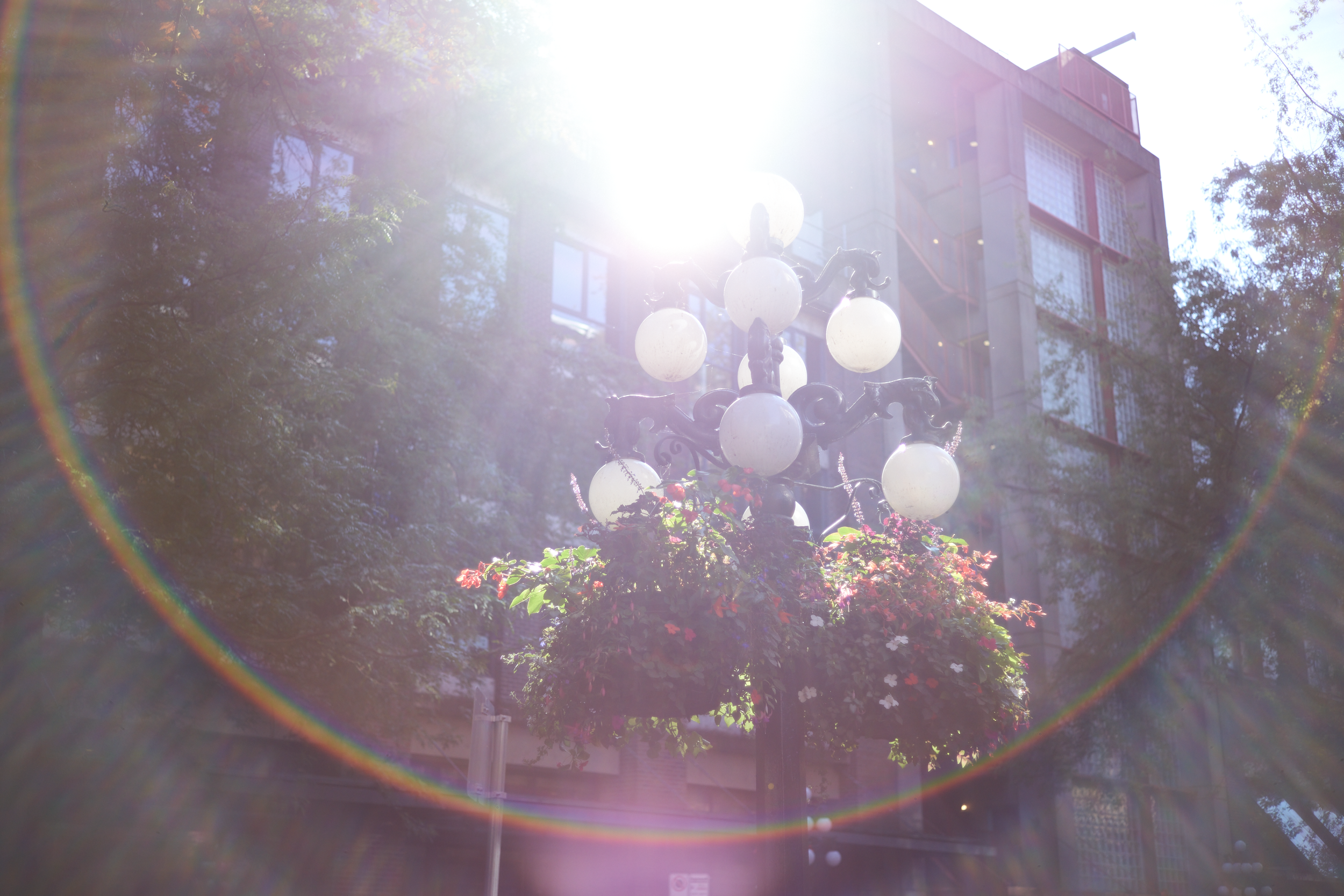 CFD Vancouver 2023 13.png