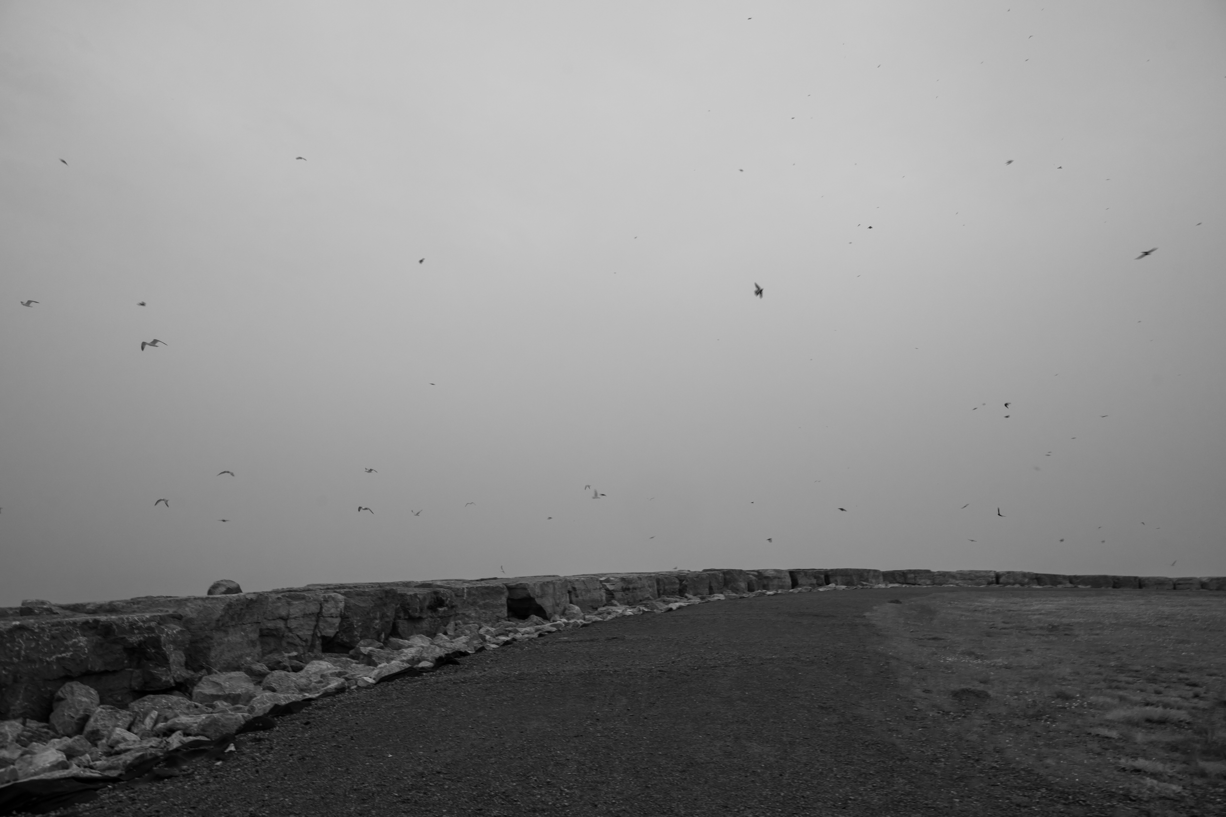 CFD Toronto 2025 55 BW.png