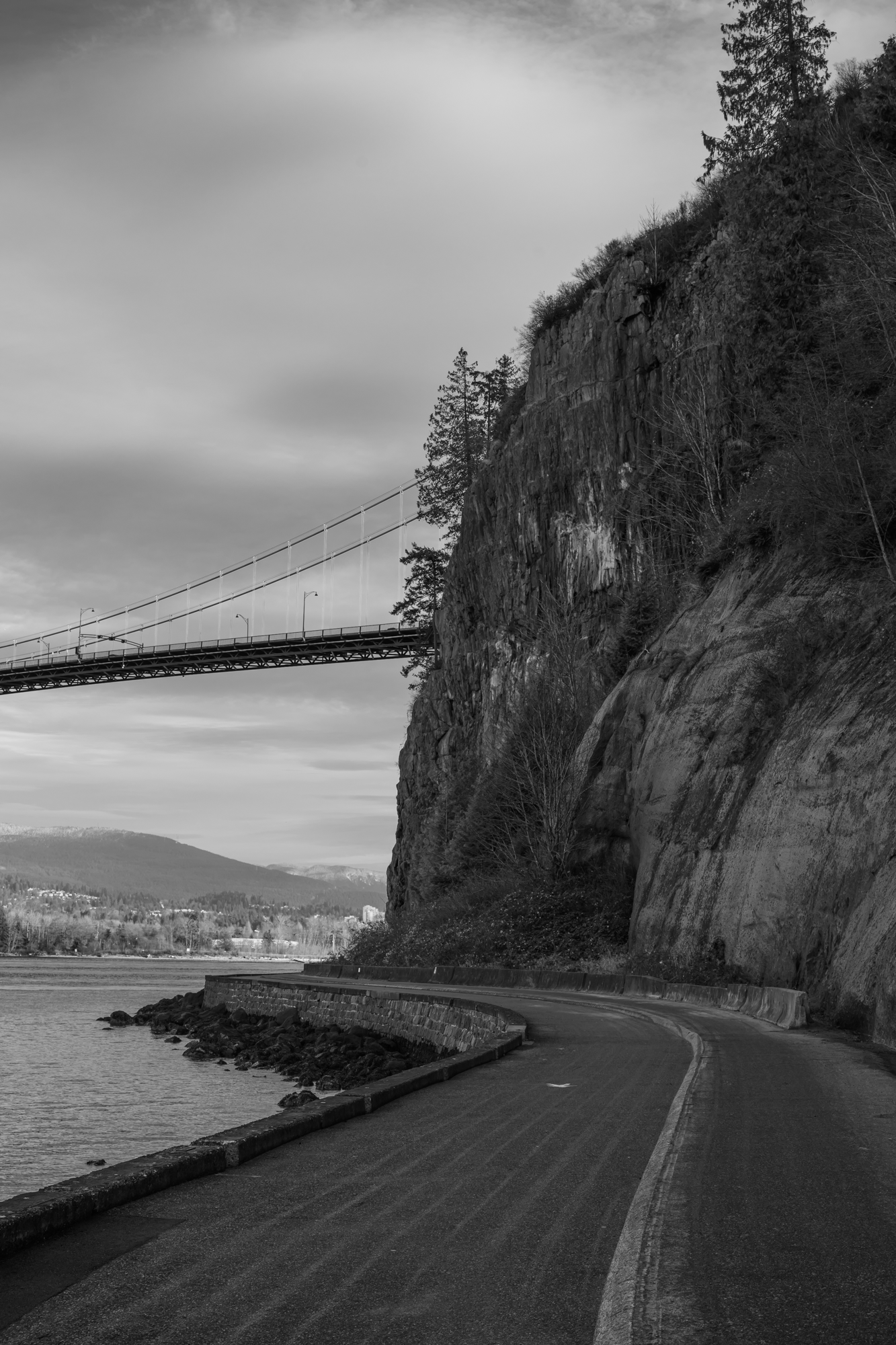 Stanley Park and Lions Gate Bridge, Vancouver, British Columbia, 2025