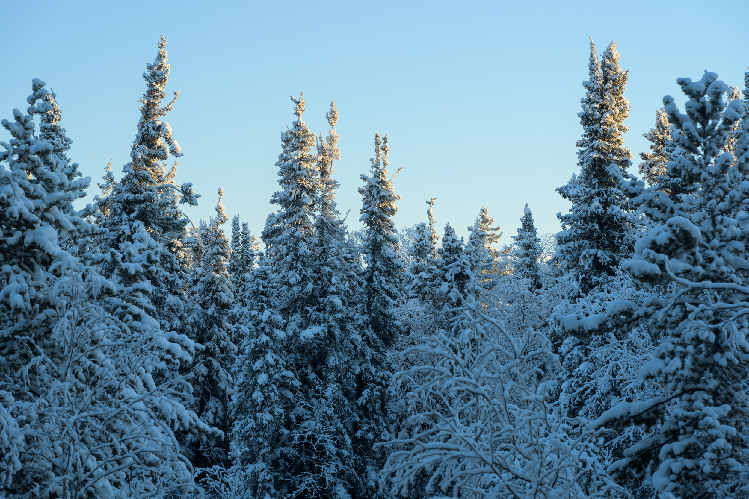 Yellowknife, Northwest Territories, 2025