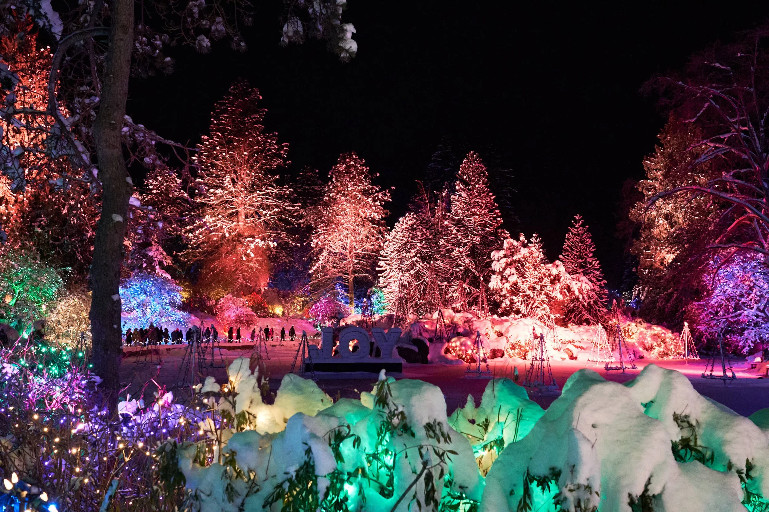 VanDusen Botanical Garden Christmas Lights, Vancouver,  2022