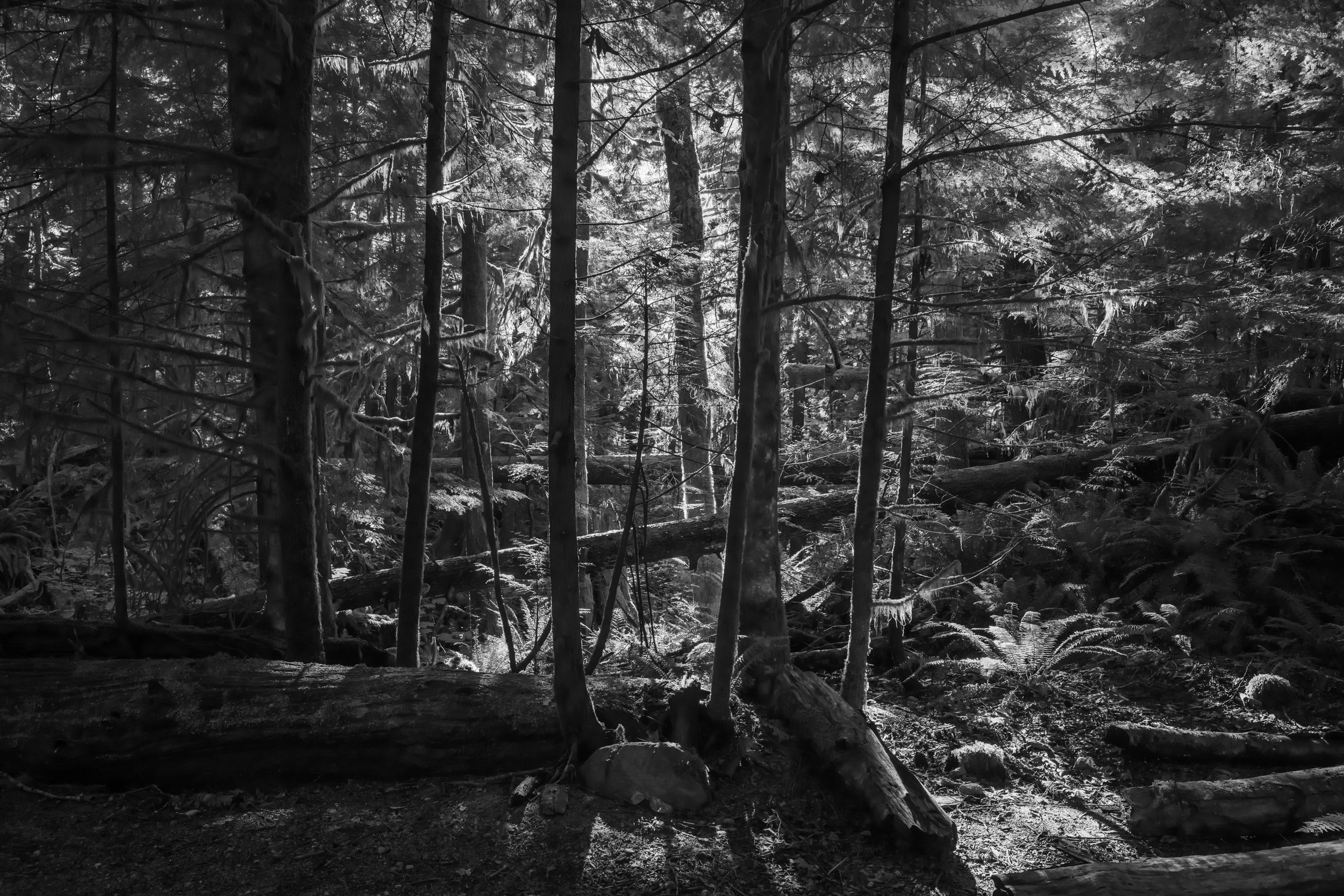 Sea to Summit Trail, Squamish, BC, Canada