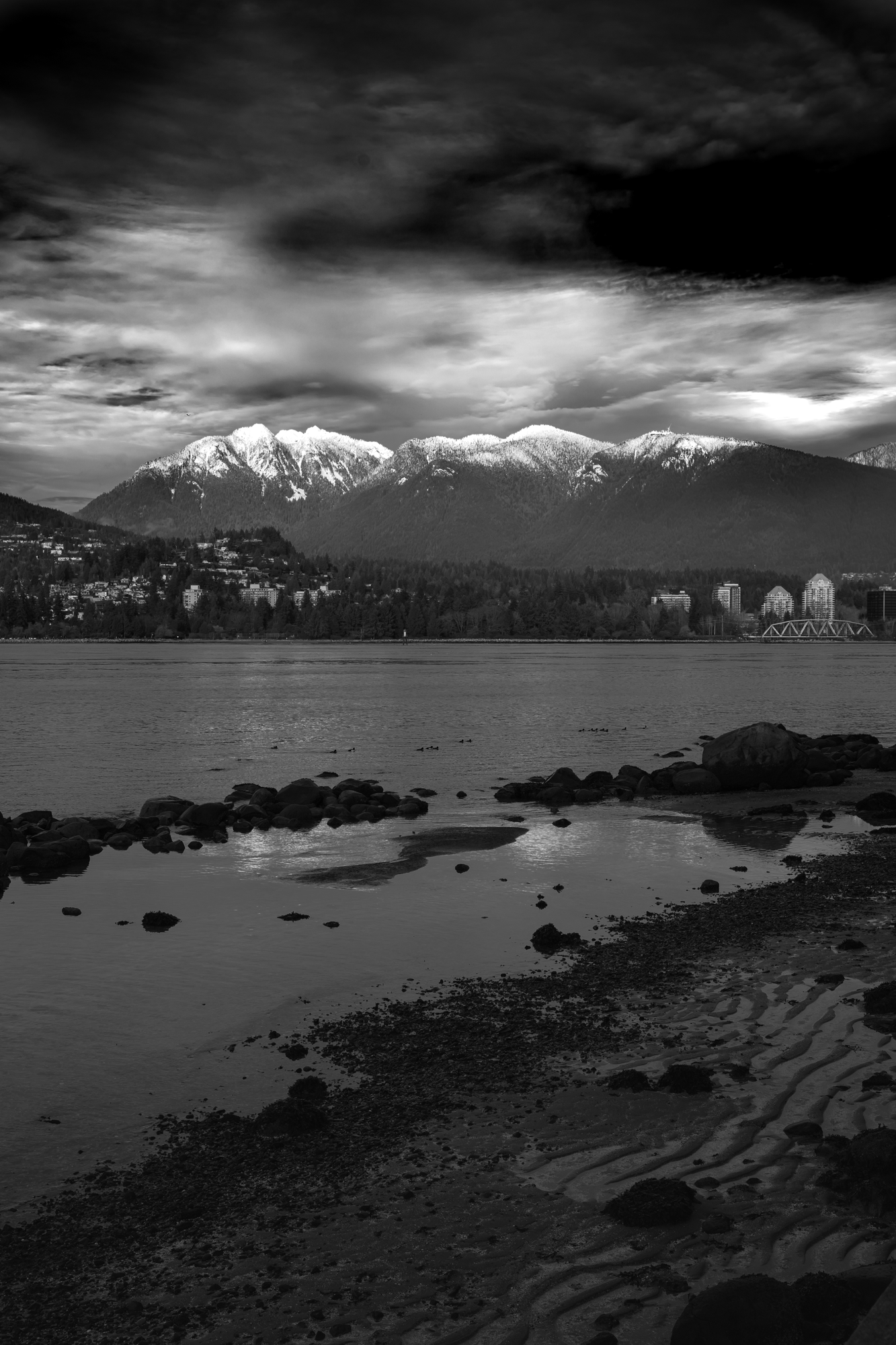 CFD Vancouver 2025 51.png