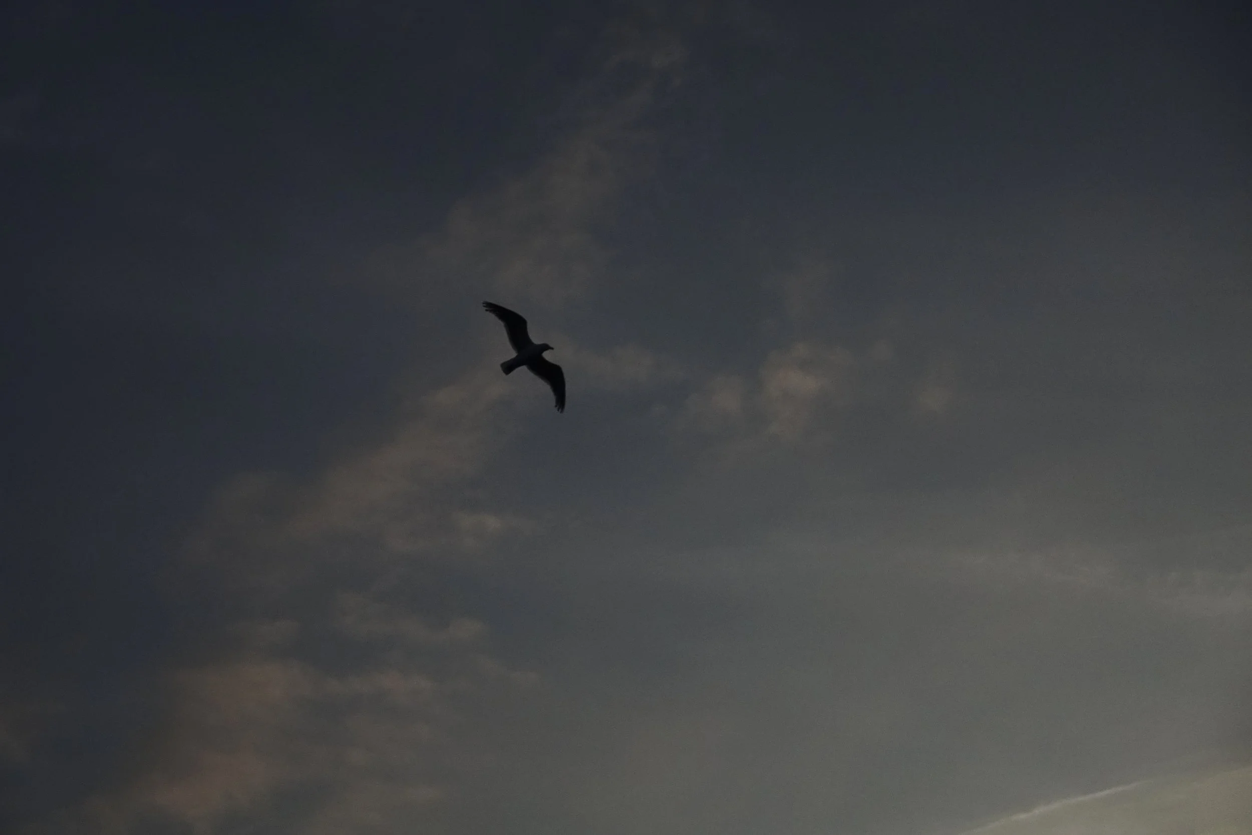Otaru, Hokkaido, Japan, 2017