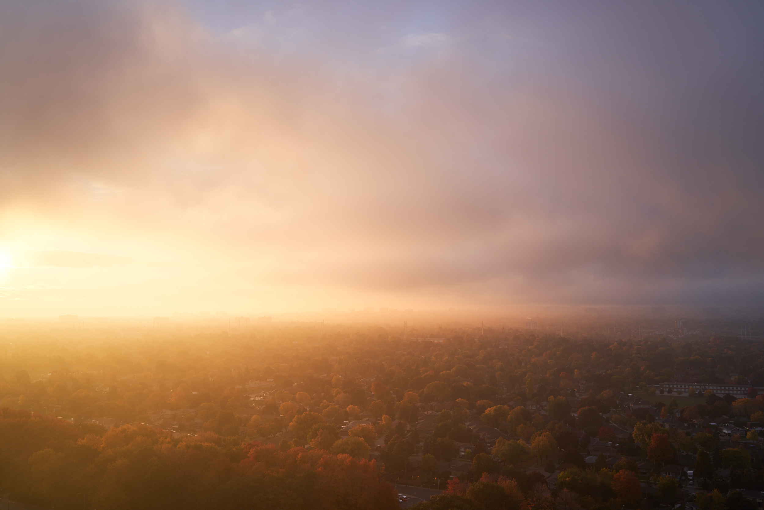 CFD Toronto 2022 6.png