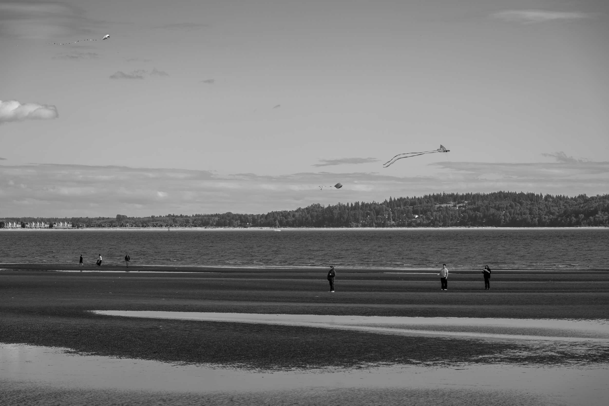 CFD Vancouver 2025 19.png