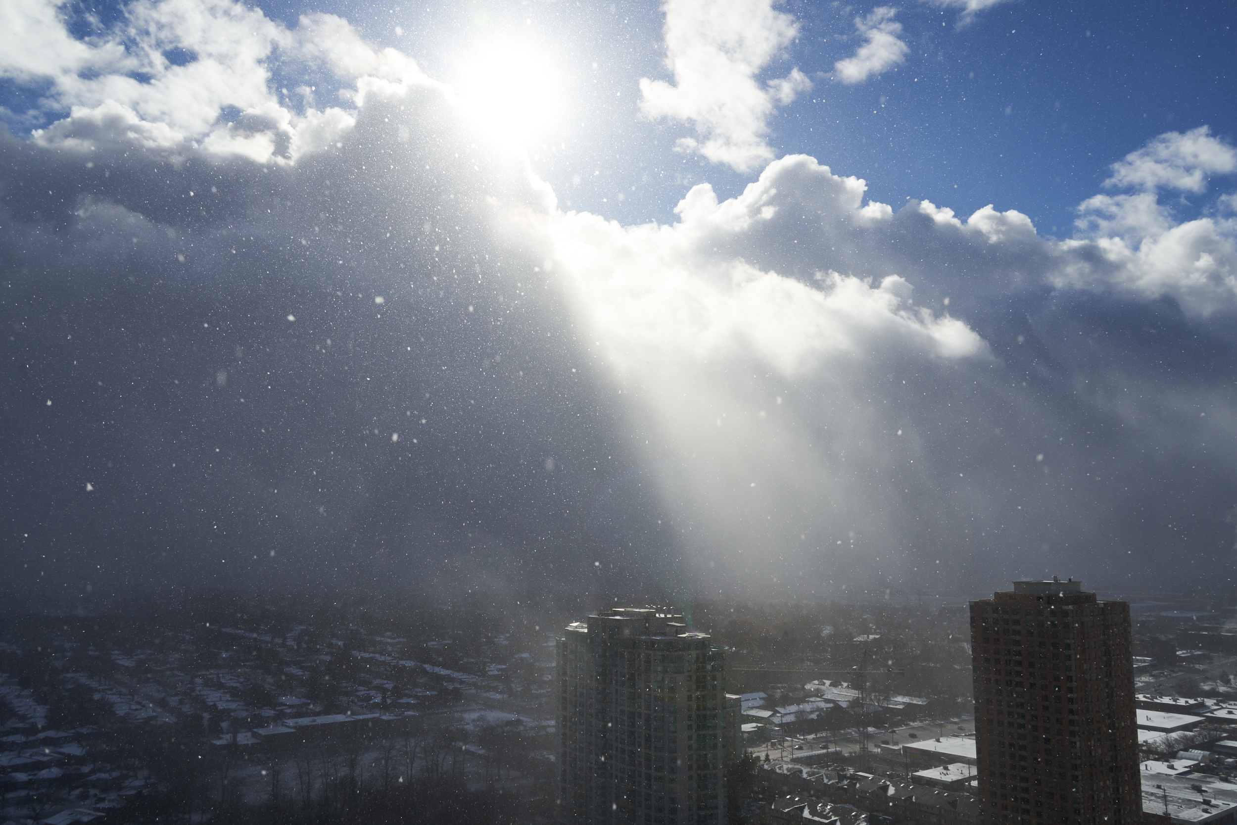 CFD Toronto 2022 16.png