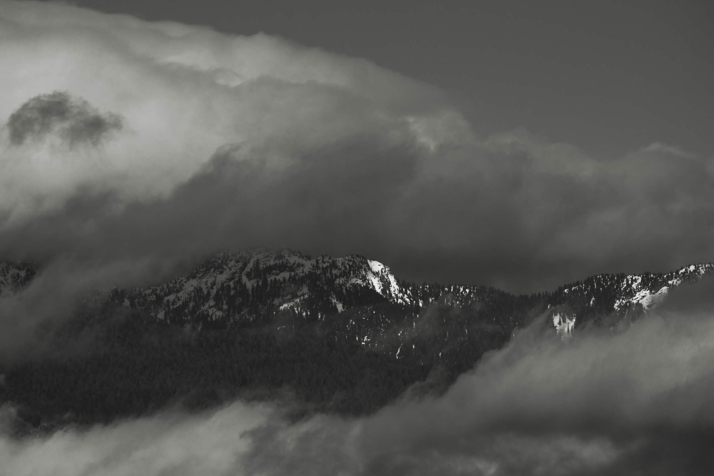 Vancouver 2024 62 BW.png