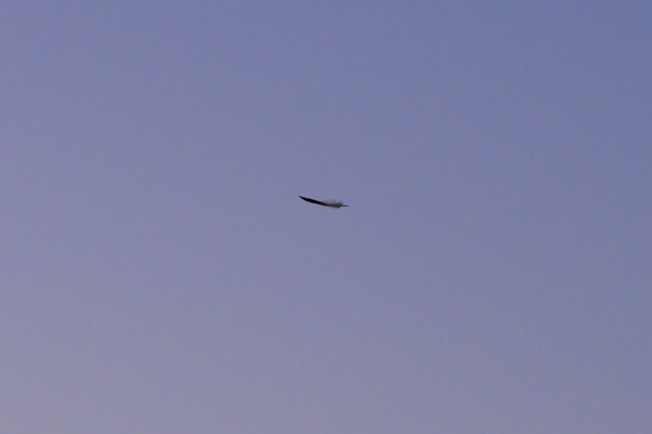 Vancouver 2024 60.png