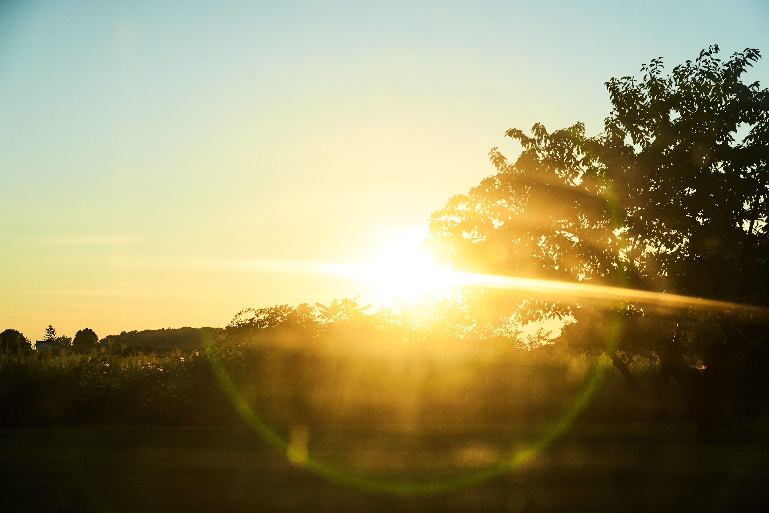 CFD Toronto 2022 3.png