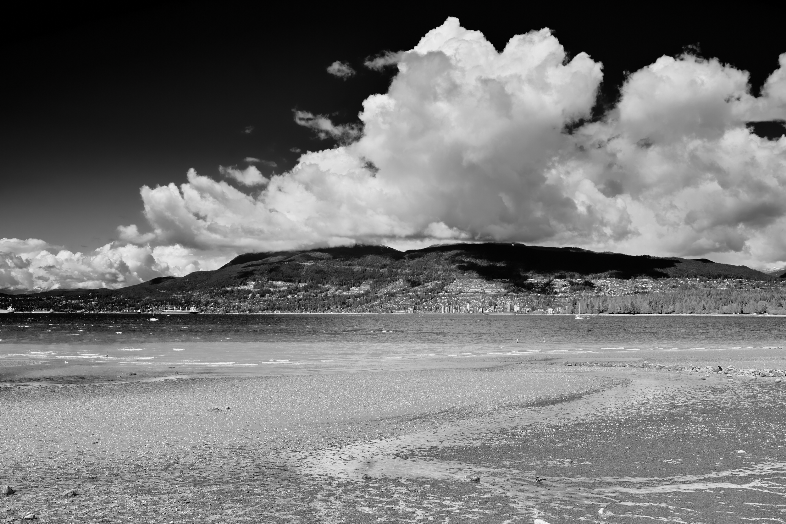 Vancouver 2024 7.png