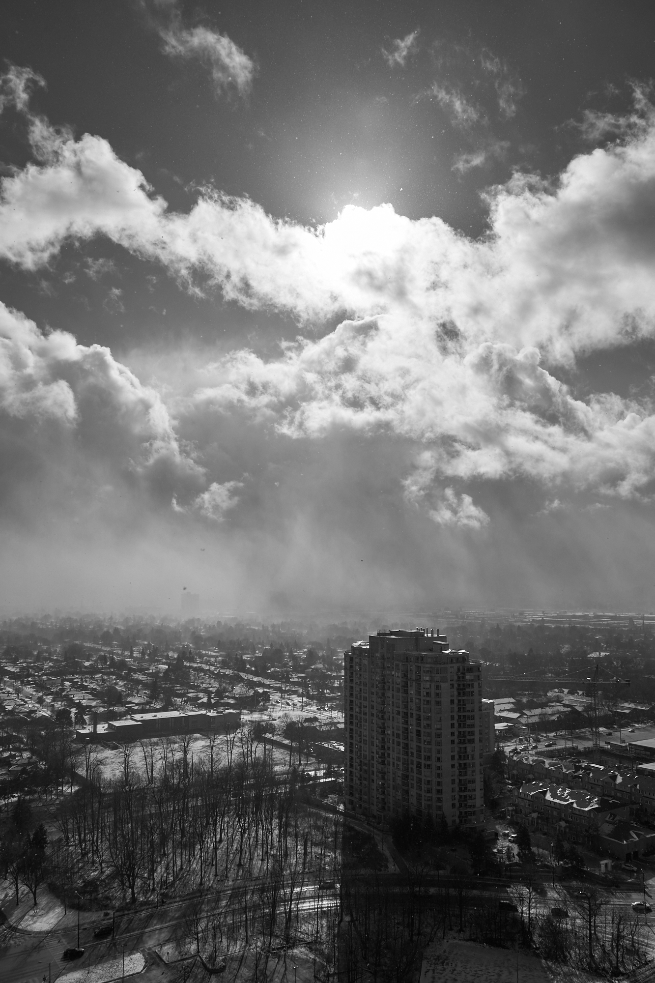 CFD Toronto 2022 19.png