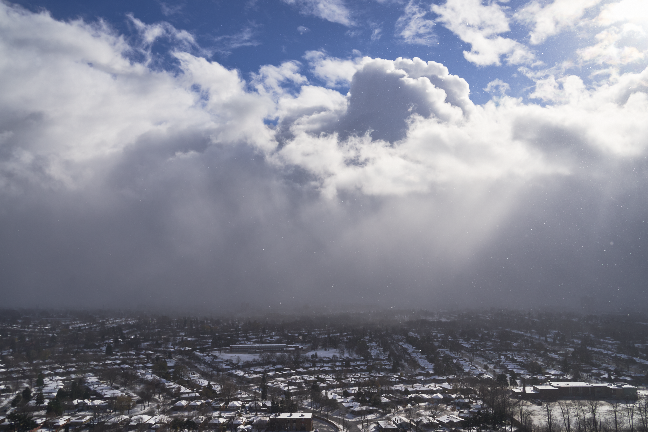 CFD Toronto 2022 18.png