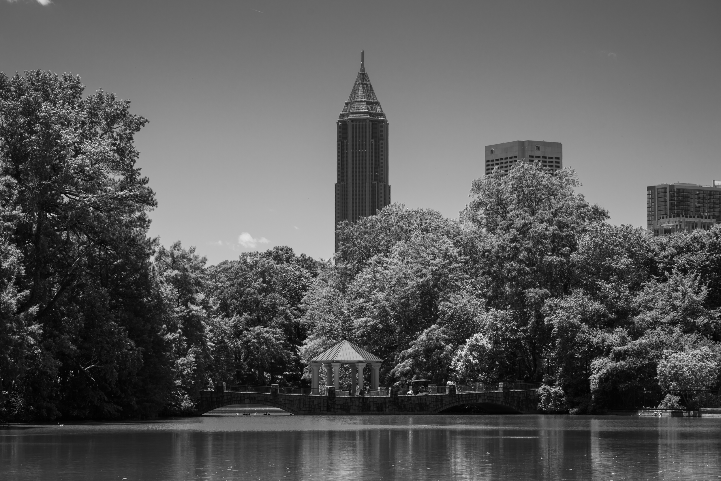 CFD Georgia 2025 35.png