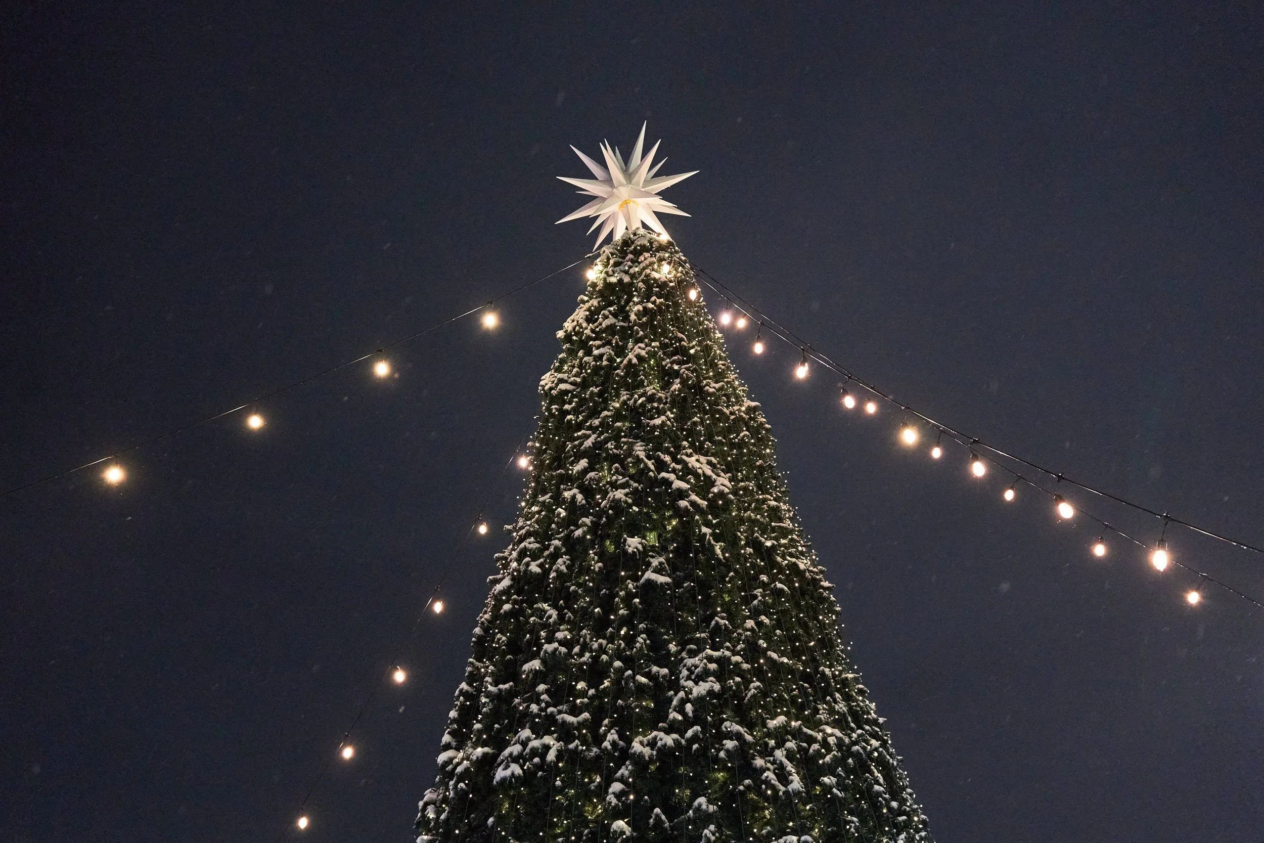 Christmas Market Christmas Tree, Vancouver, 2022