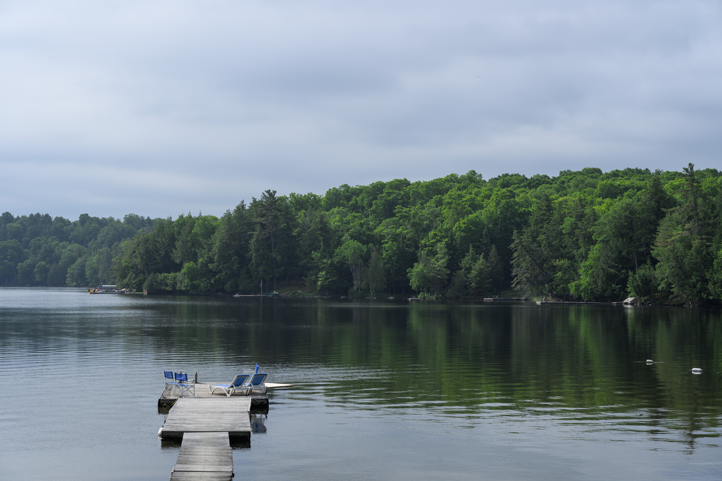 CFD Toronto 2025 60.png