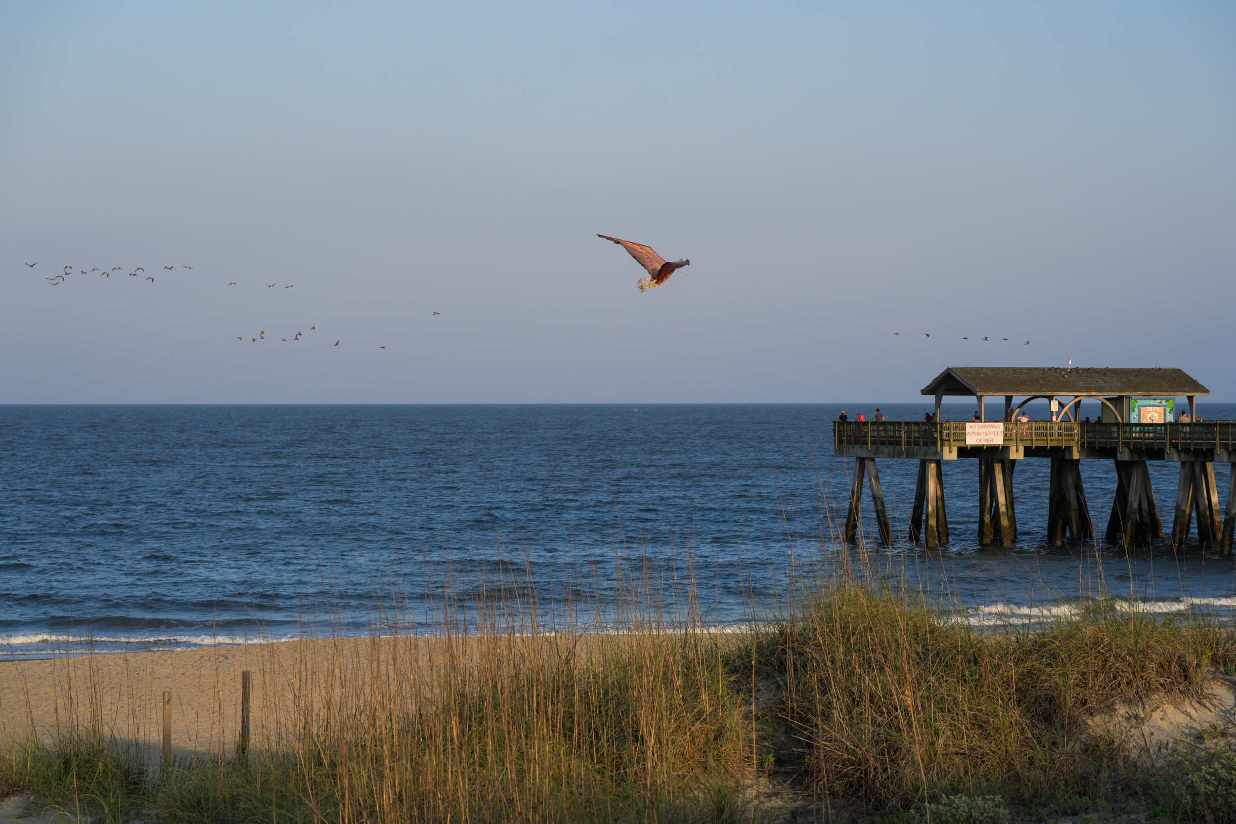 CFD Georgia 2025 9.png