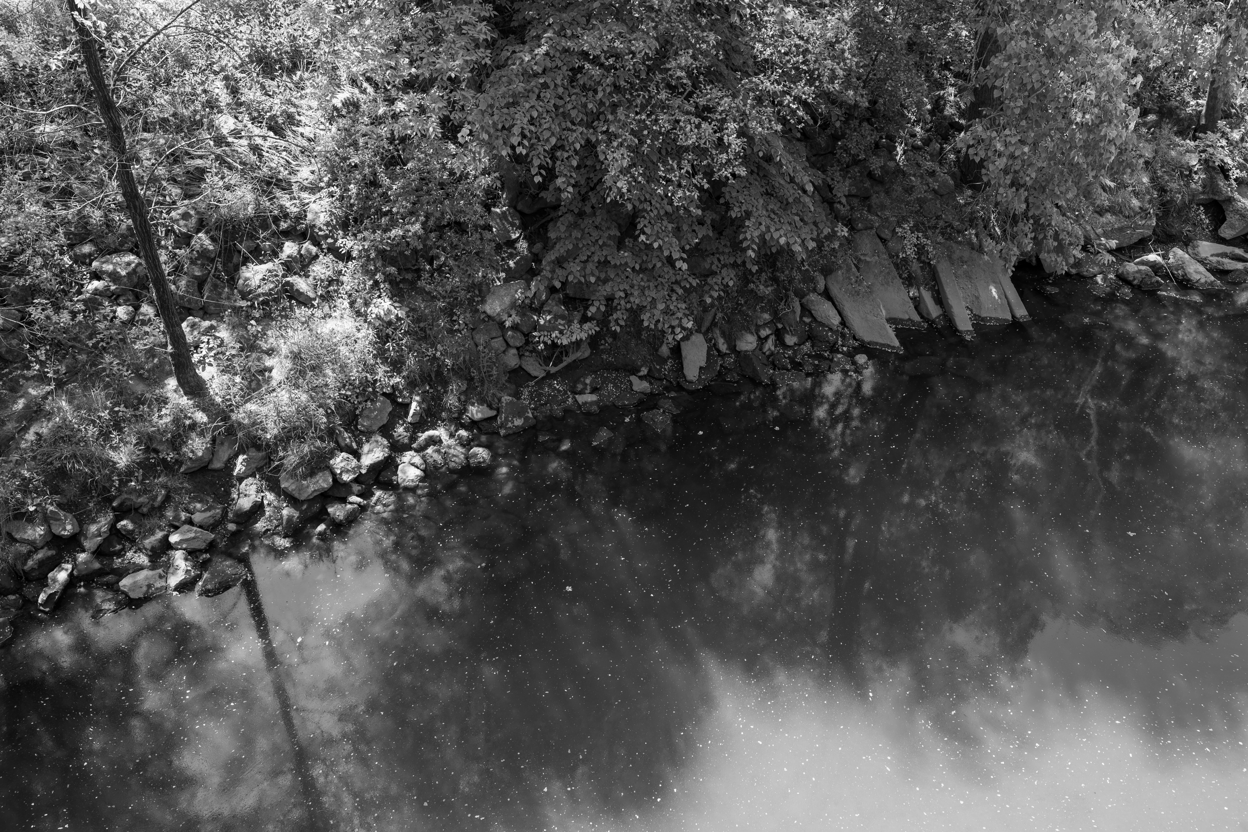 UofT Scarborough Forest Lake, Scarborough, Ontario 2025