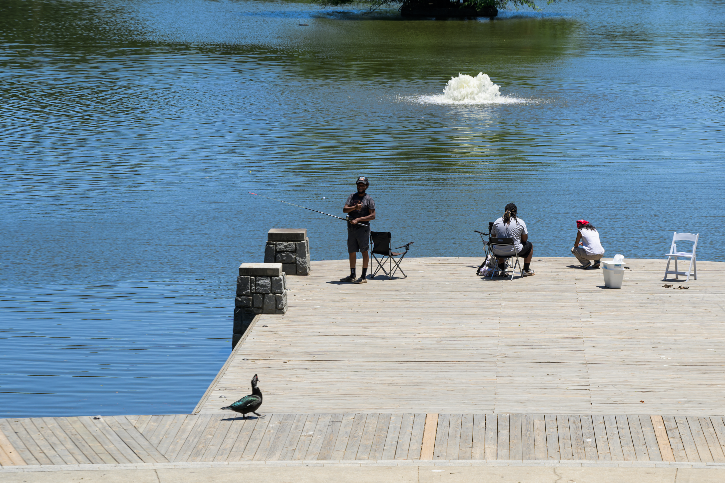 CFD Georgia 2025 33.png