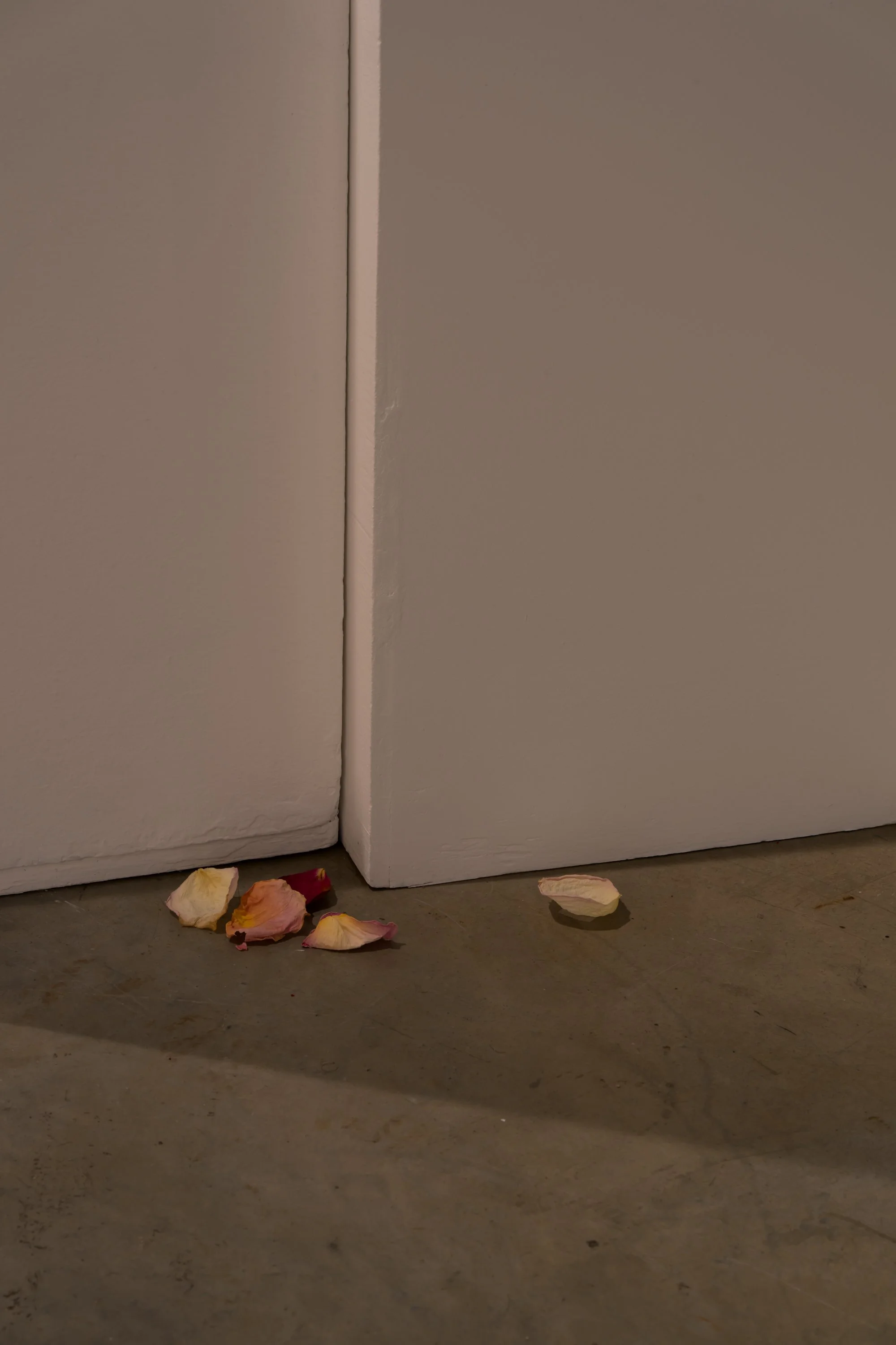 CFD Bloom Finale - Wong Chi Lok 8.jpg