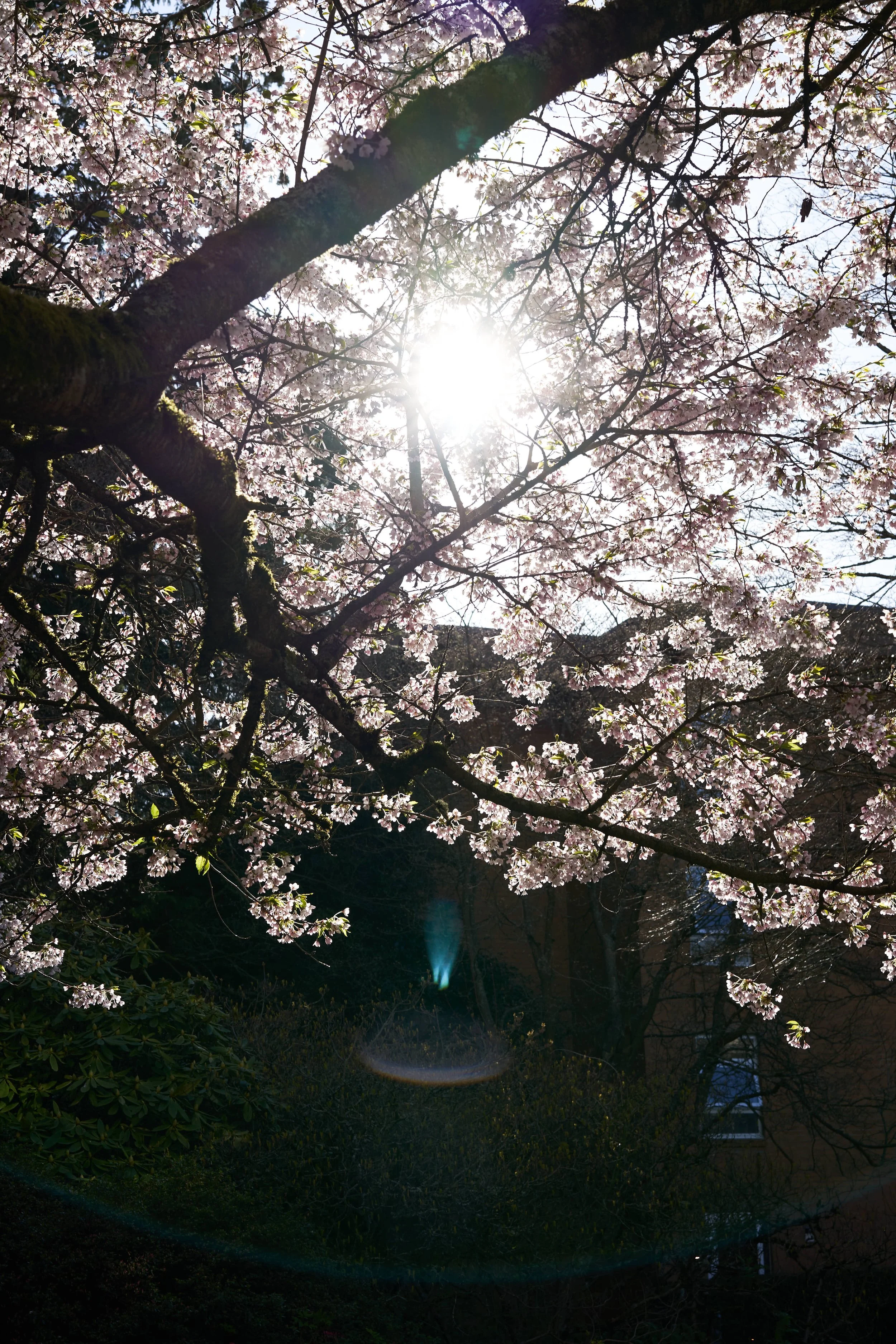 Vancouver 2023 3.jpg