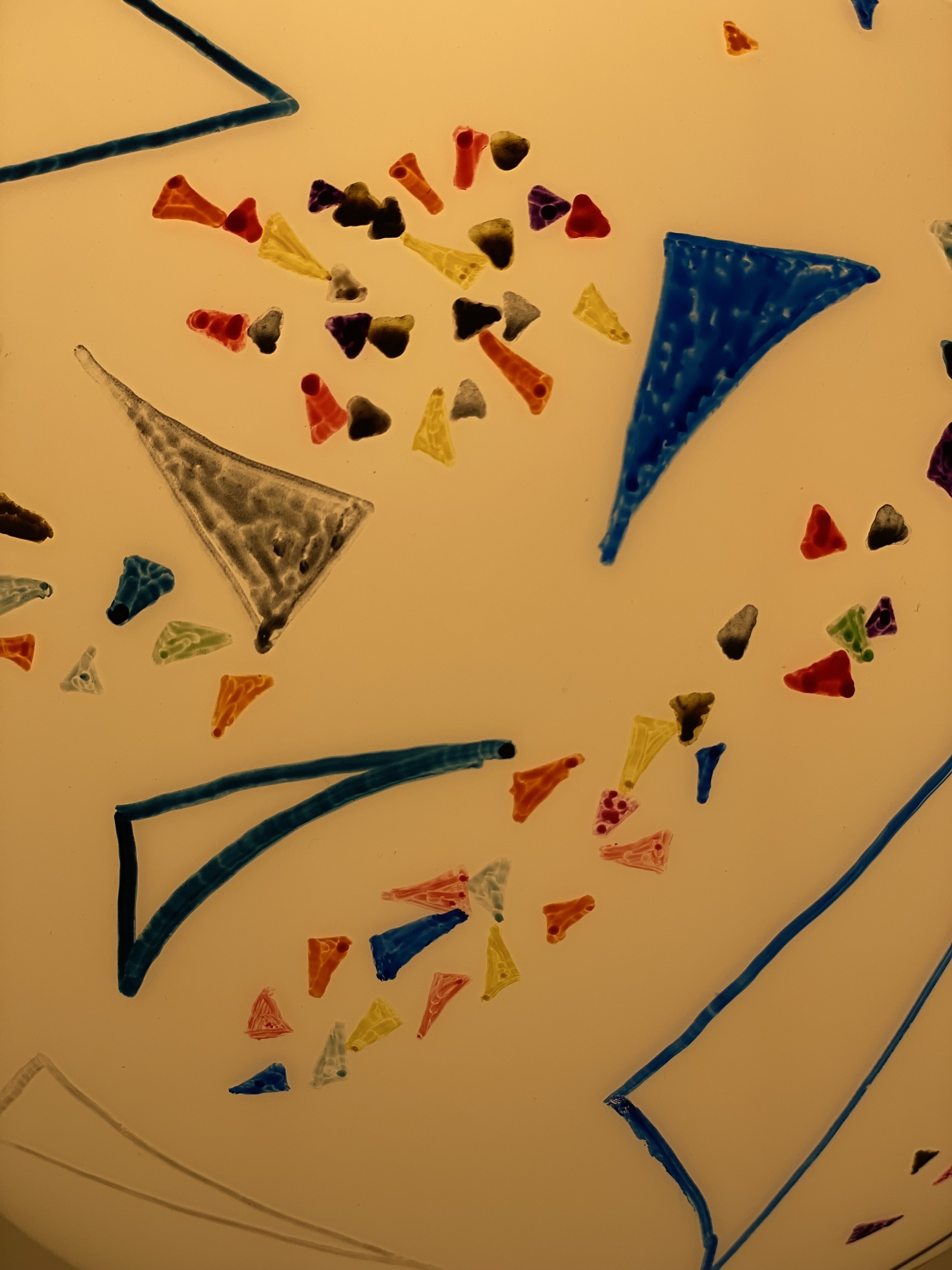 CFD The Acquarium - Wong Chi Lok2.jpeg